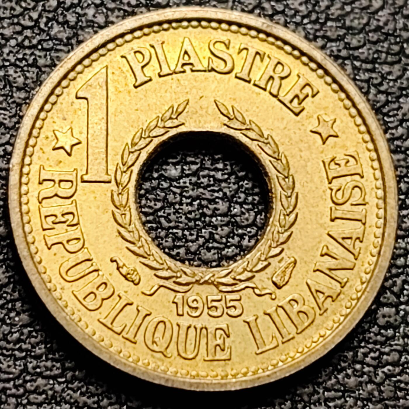 泉币菌-第184场- 精品福利场 。