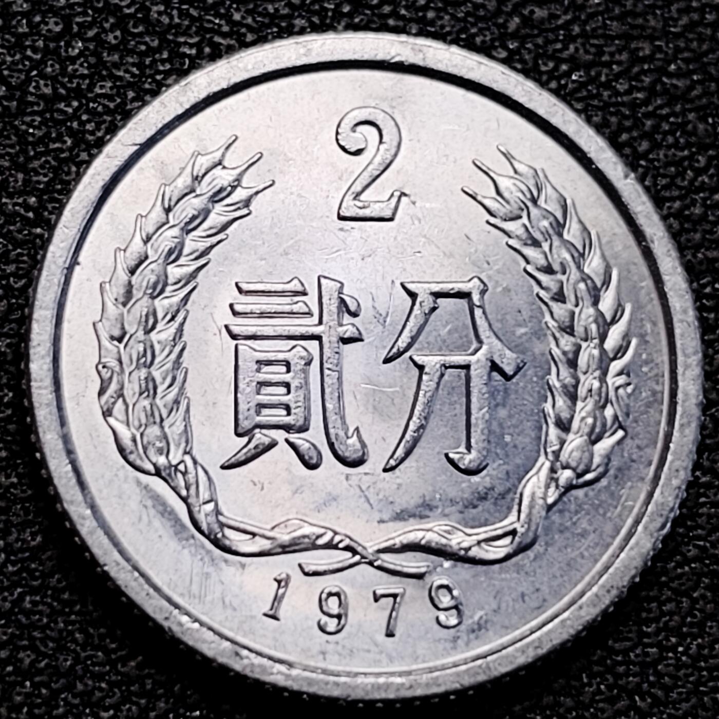 泉币菌-第183场- 精品福利场 。