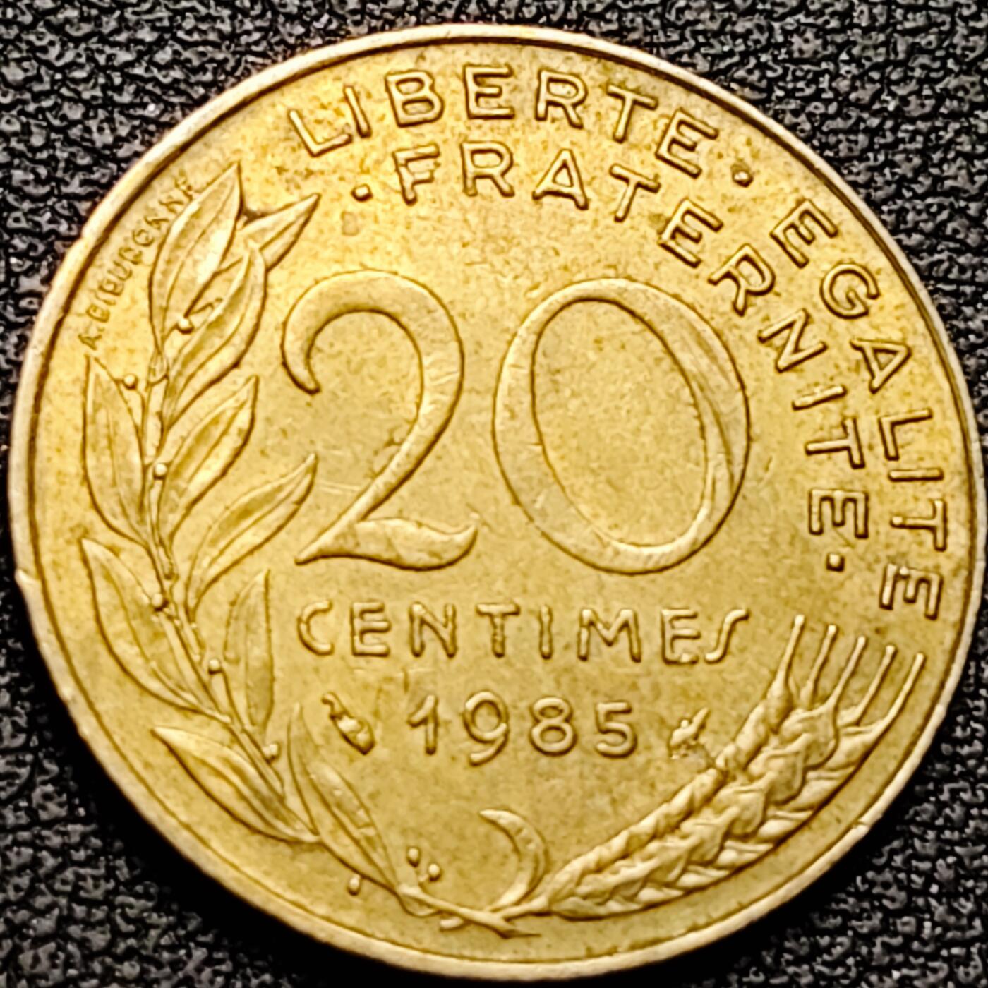 泉币菌-第184场- 精品福利场 。