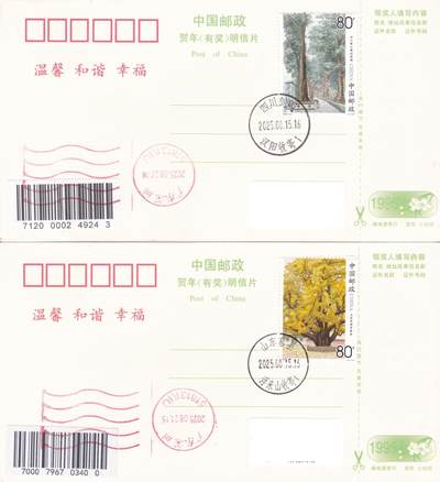 02月19日（周四）20:00 中国大陆2025年首日实寄封 - 2025中国大陆《古树名木》一票一封 四原地首日平寄国内 一套4枚