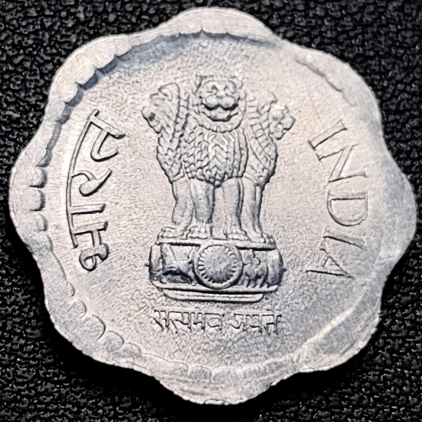 泉币菌-第185场- 精品福利场 。