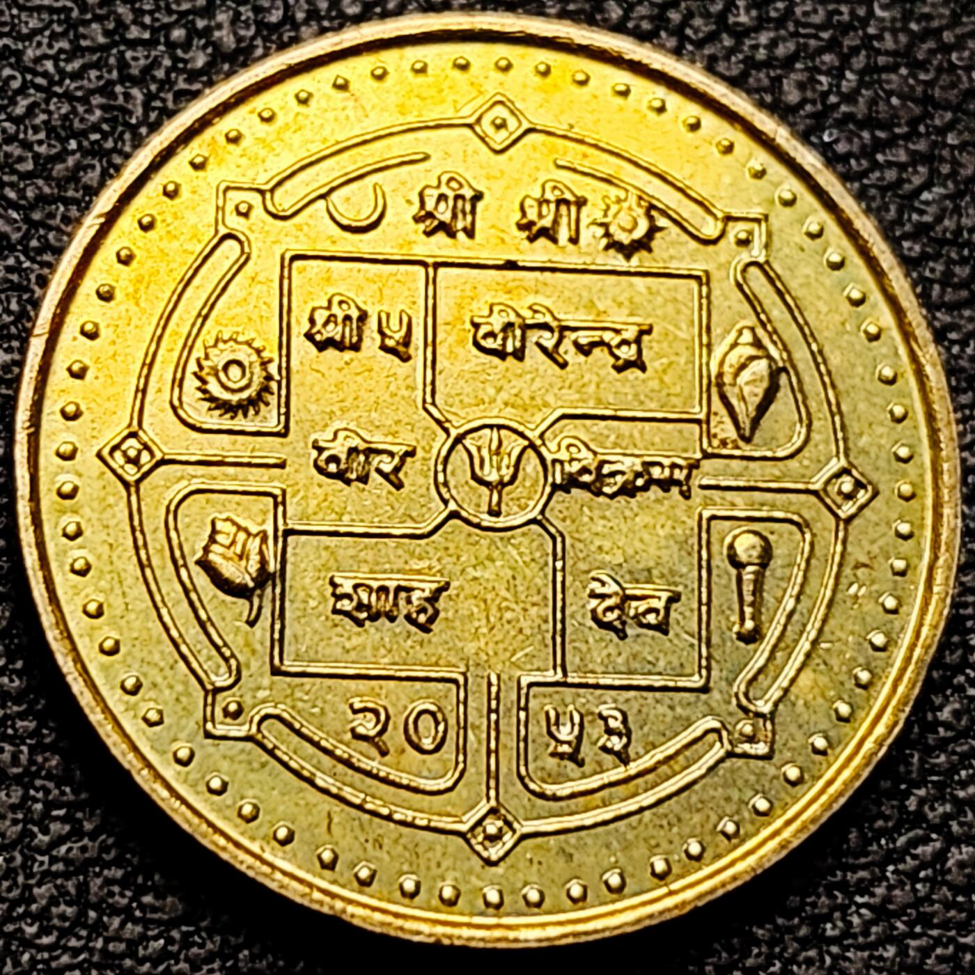 泉币菌-第185场- 精品福利场 。