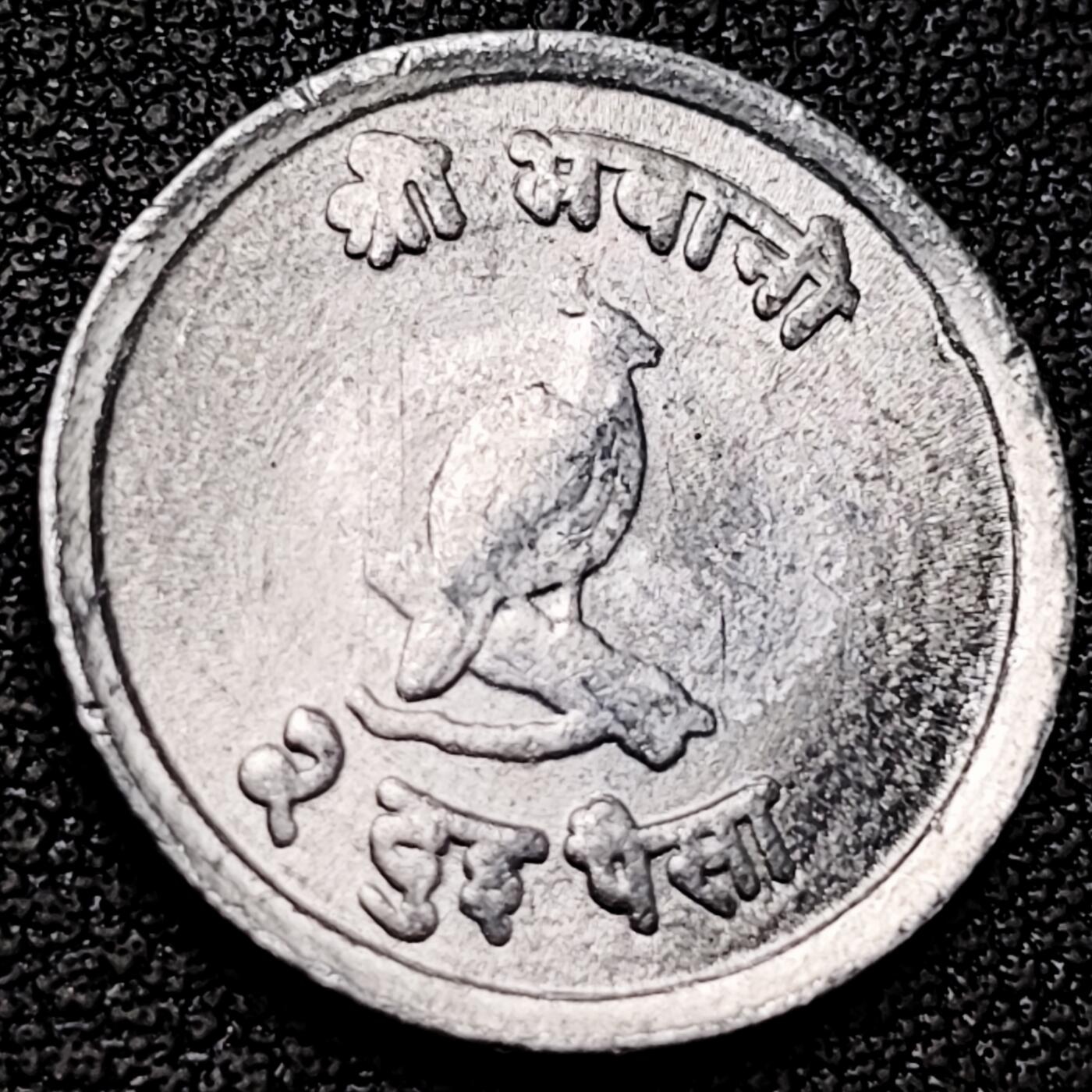 泉币菌-第182场- 精品福利场 。