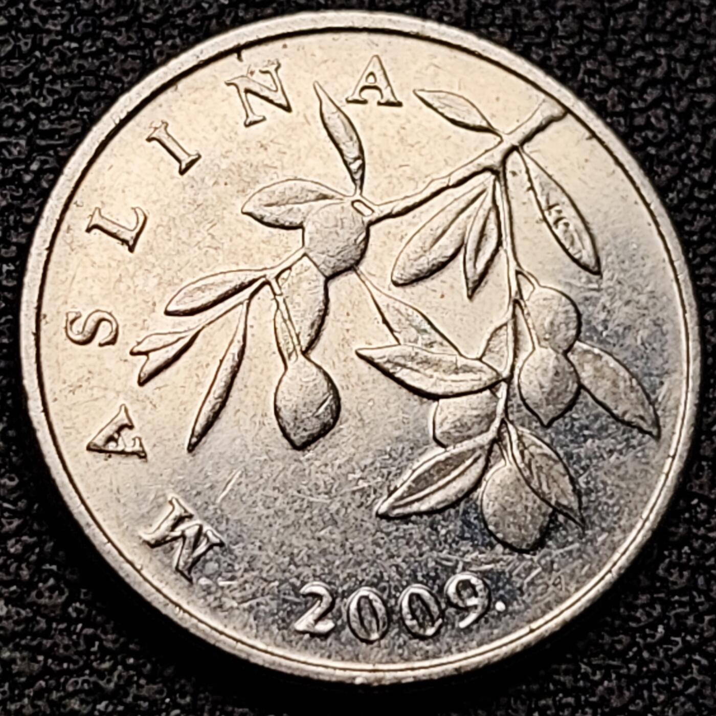 泉币菌-第185场- 精品福利场 。