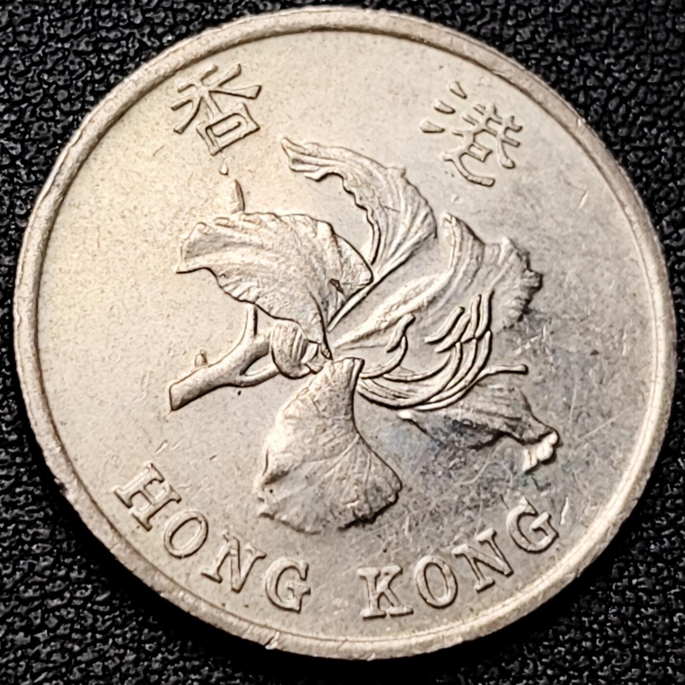 泉币菌-第182场- 精品福利场 。