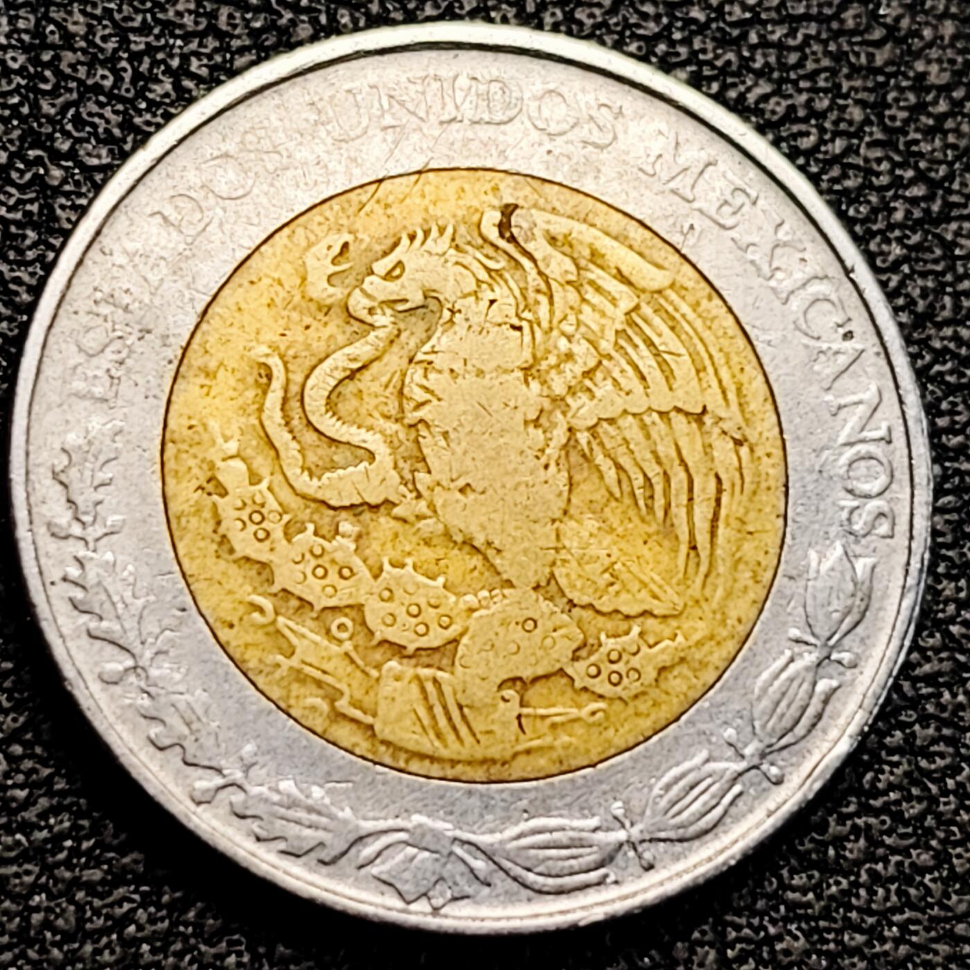 泉币菌-第183场- 精品福利场 。