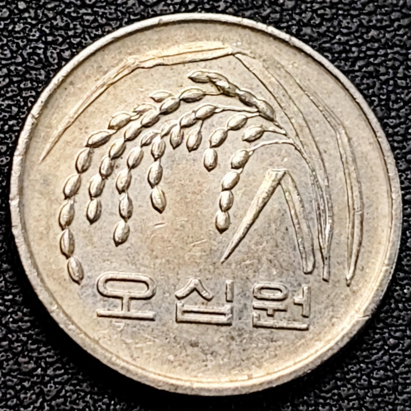 泉币菌-第183场- 精品福利场 。