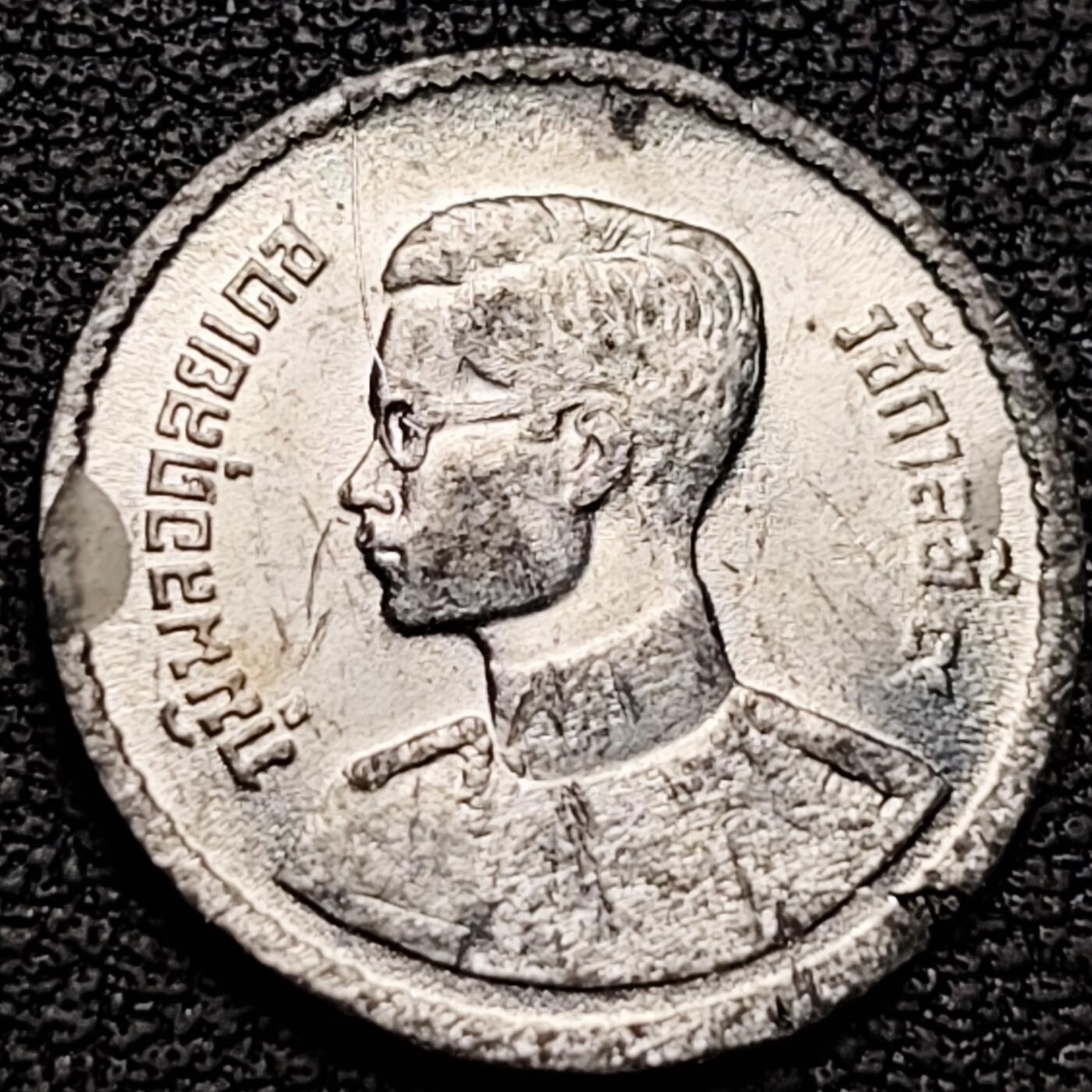 泉币菌-第184场- 精品福利场 。