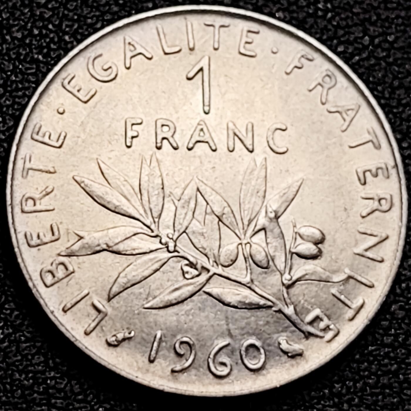 泉币菌-第183场- 精品福利场 。