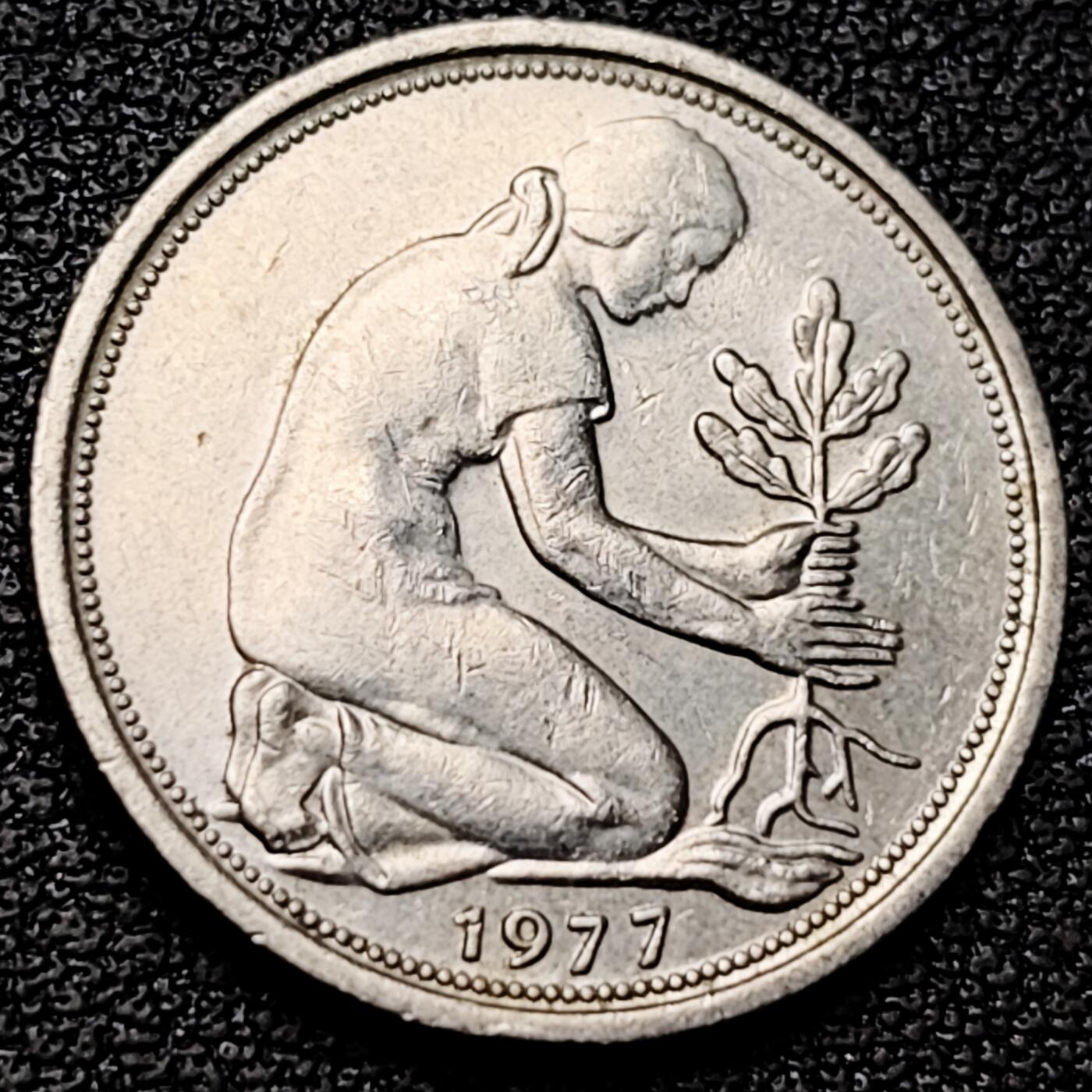 泉币菌-第182场- 精品福利场 。