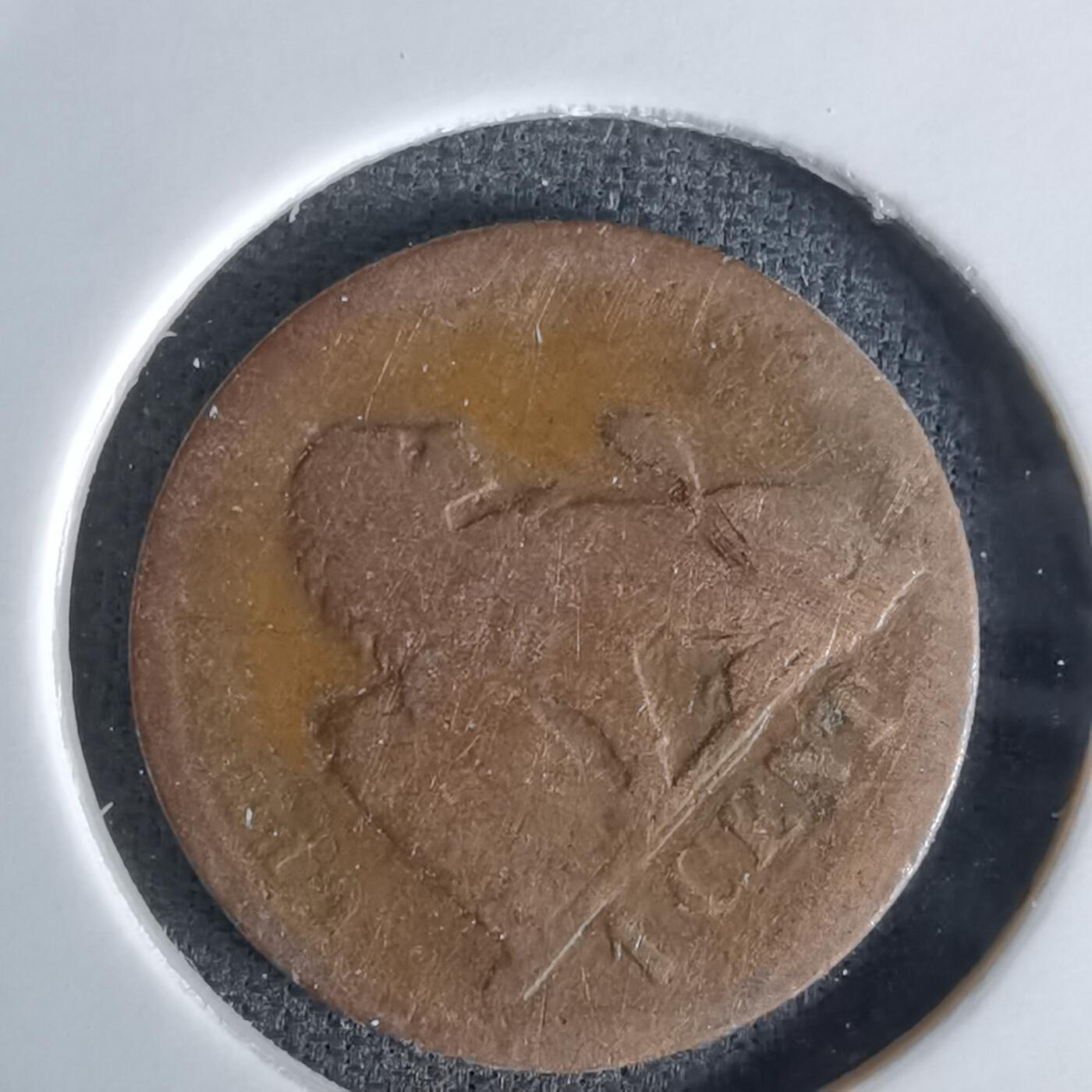 沼泽如烟--第991场 比利时一分