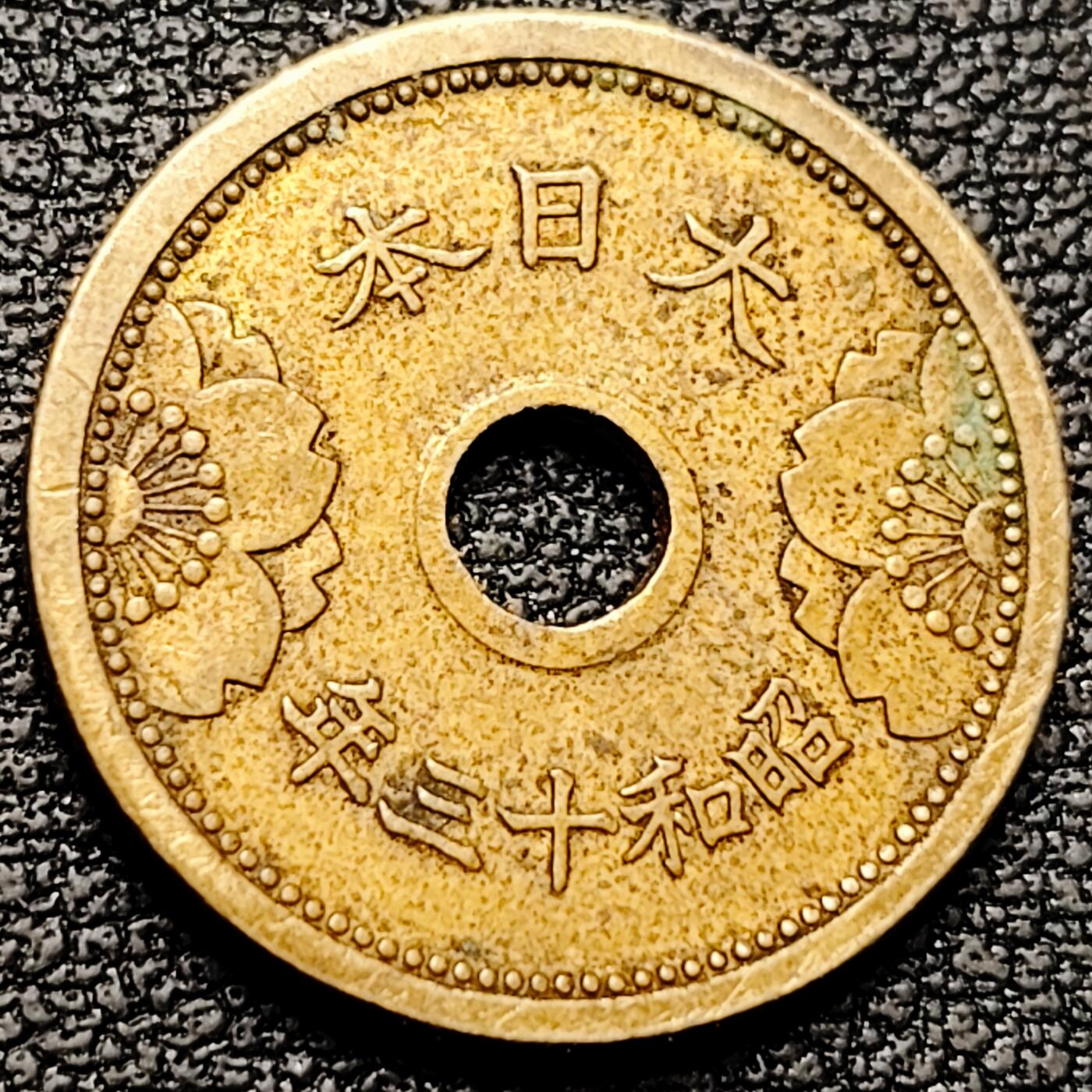 泉币菌-第185场- 精品福利场 。