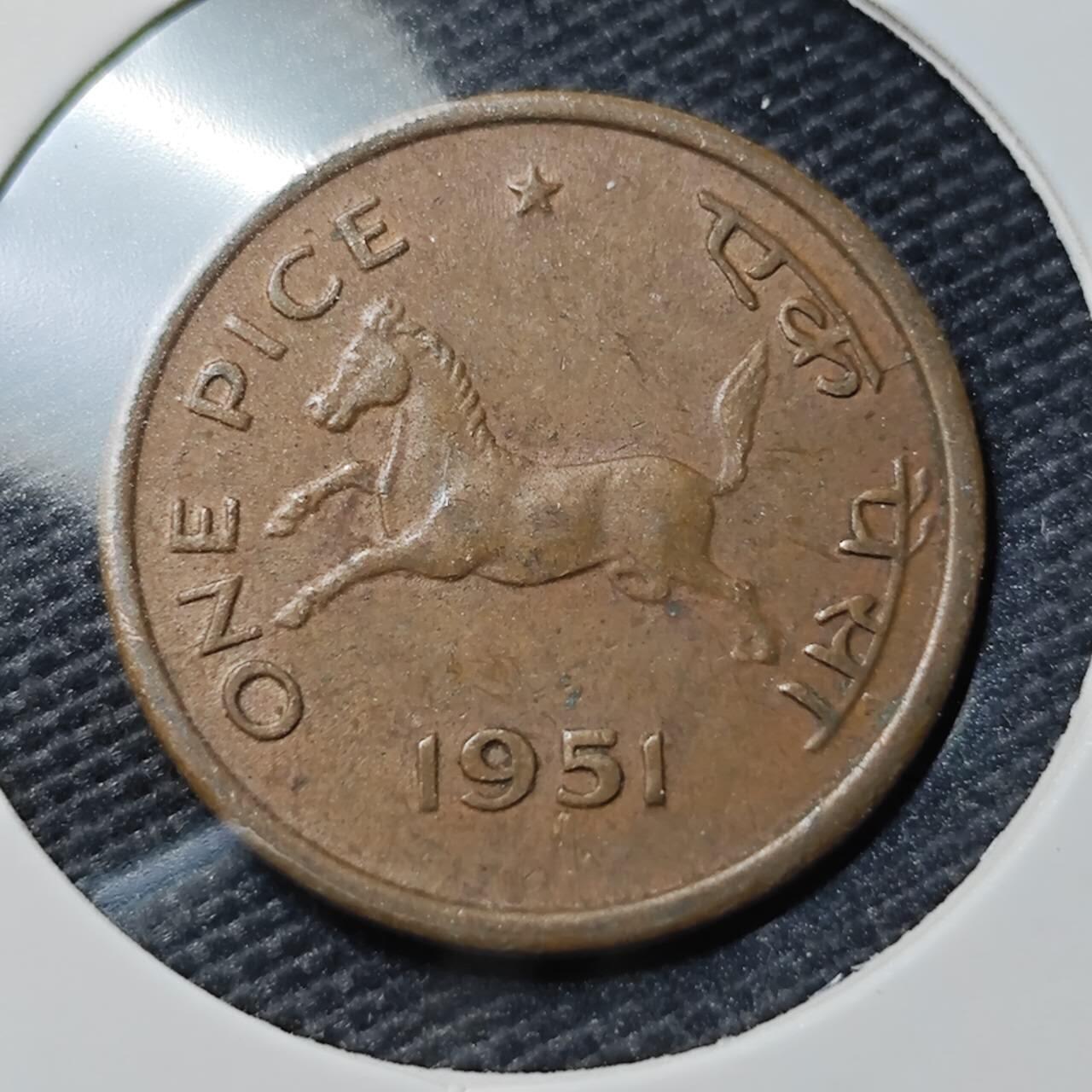 KK钱币收藏小铺  第395期  2月预留时间 周末发货 1951印度1派沙 小马铜币