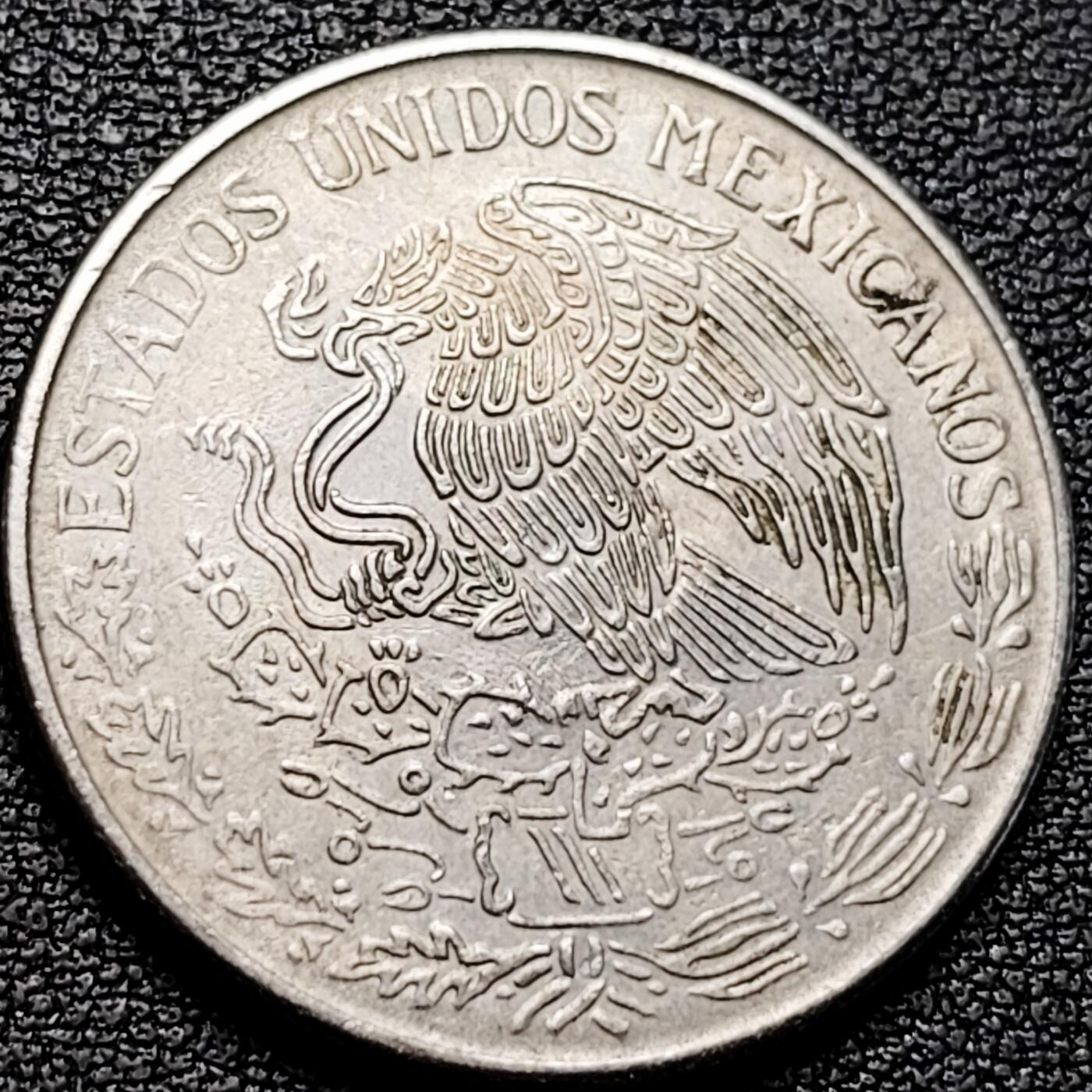 泉币菌-第185场- 精品福利场 。