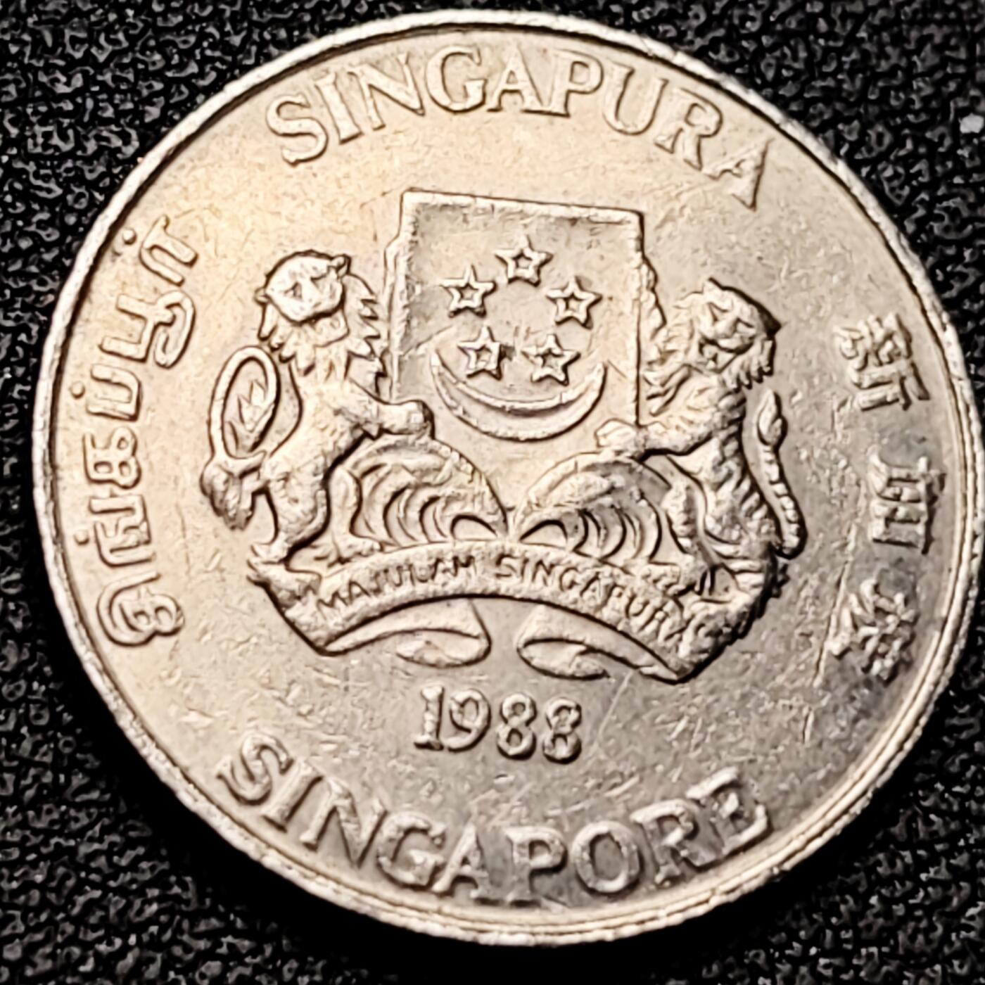 泉币菌-第185场- 精品福利场 。