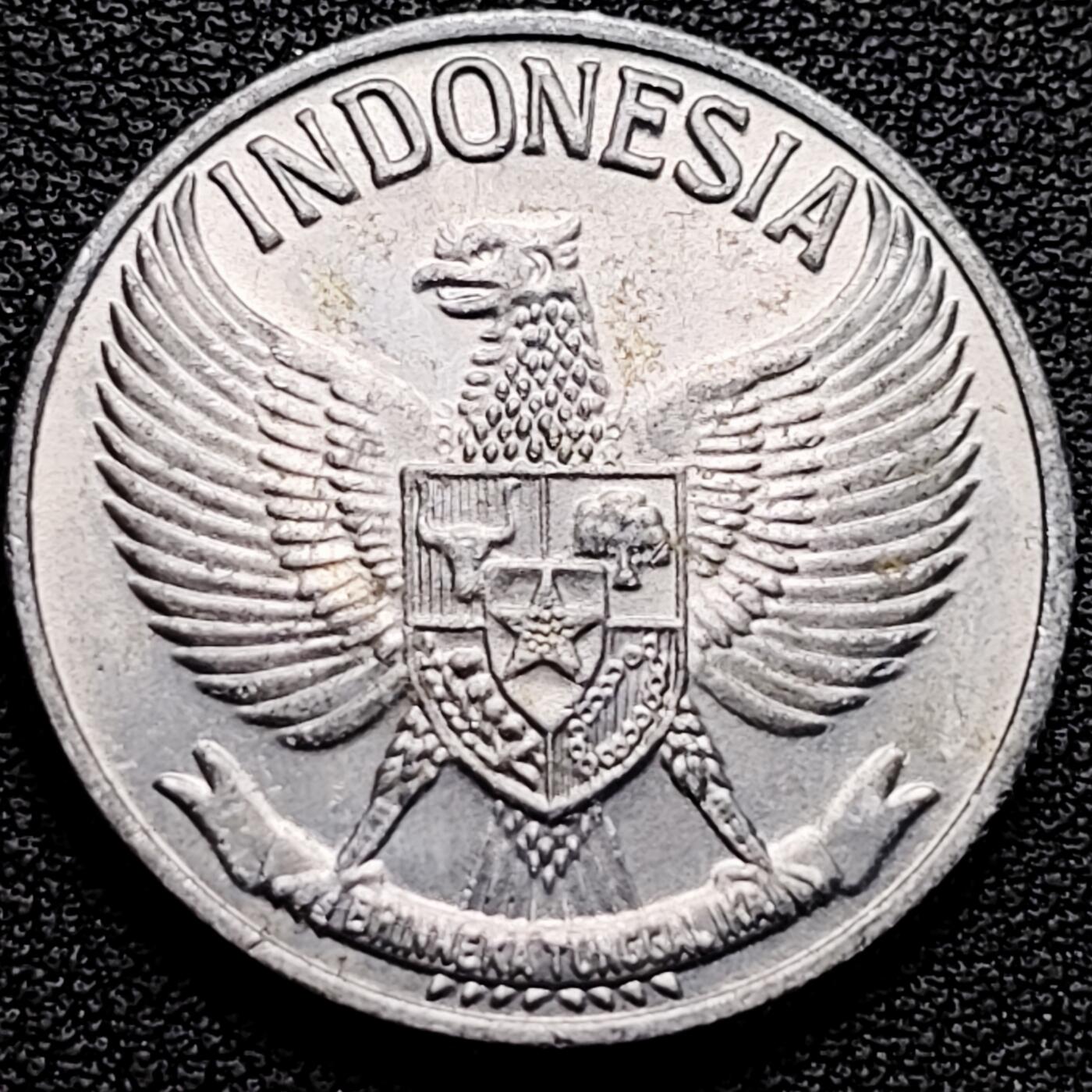 泉币菌-第185场- 精品福利场 。