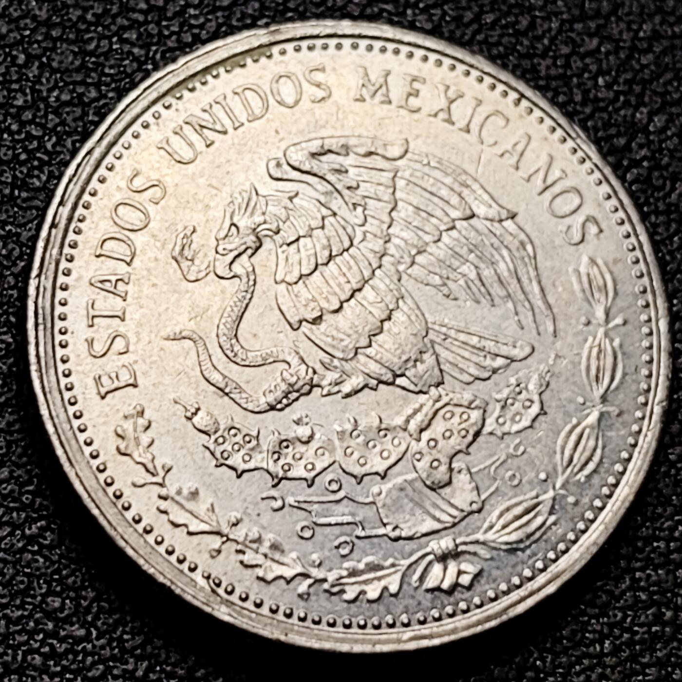 泉币菌-第182场- 精品福利场 。