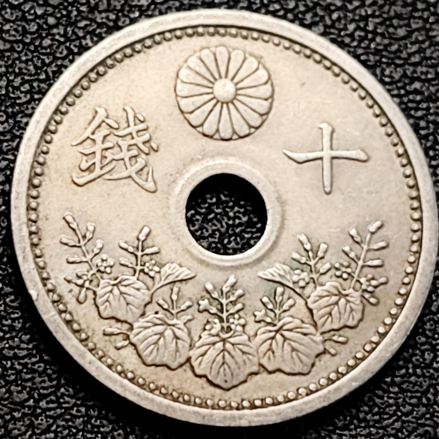 泉币菌-第183场- 精品福利场 。