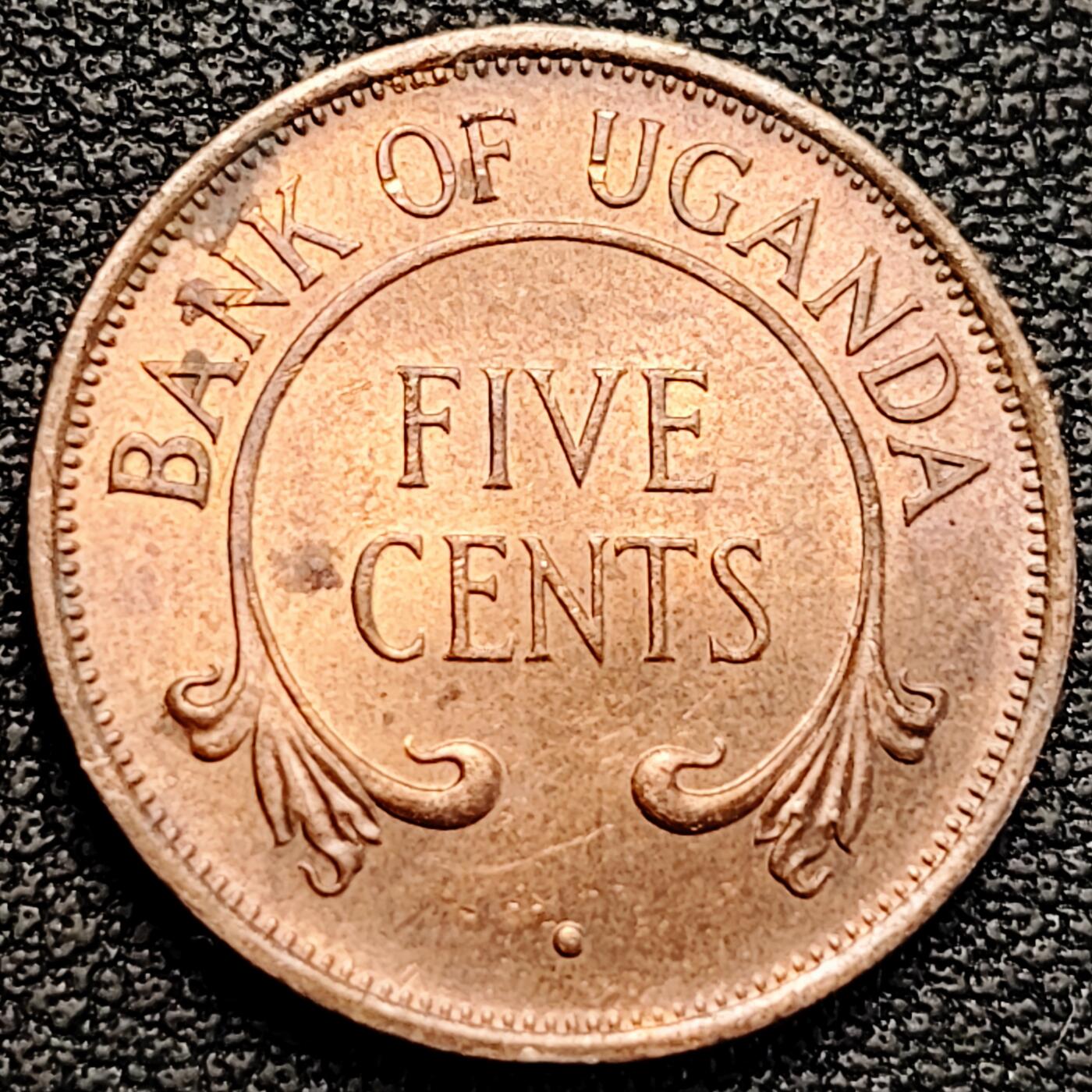 泉币菌-第183场- 精品福利场 。