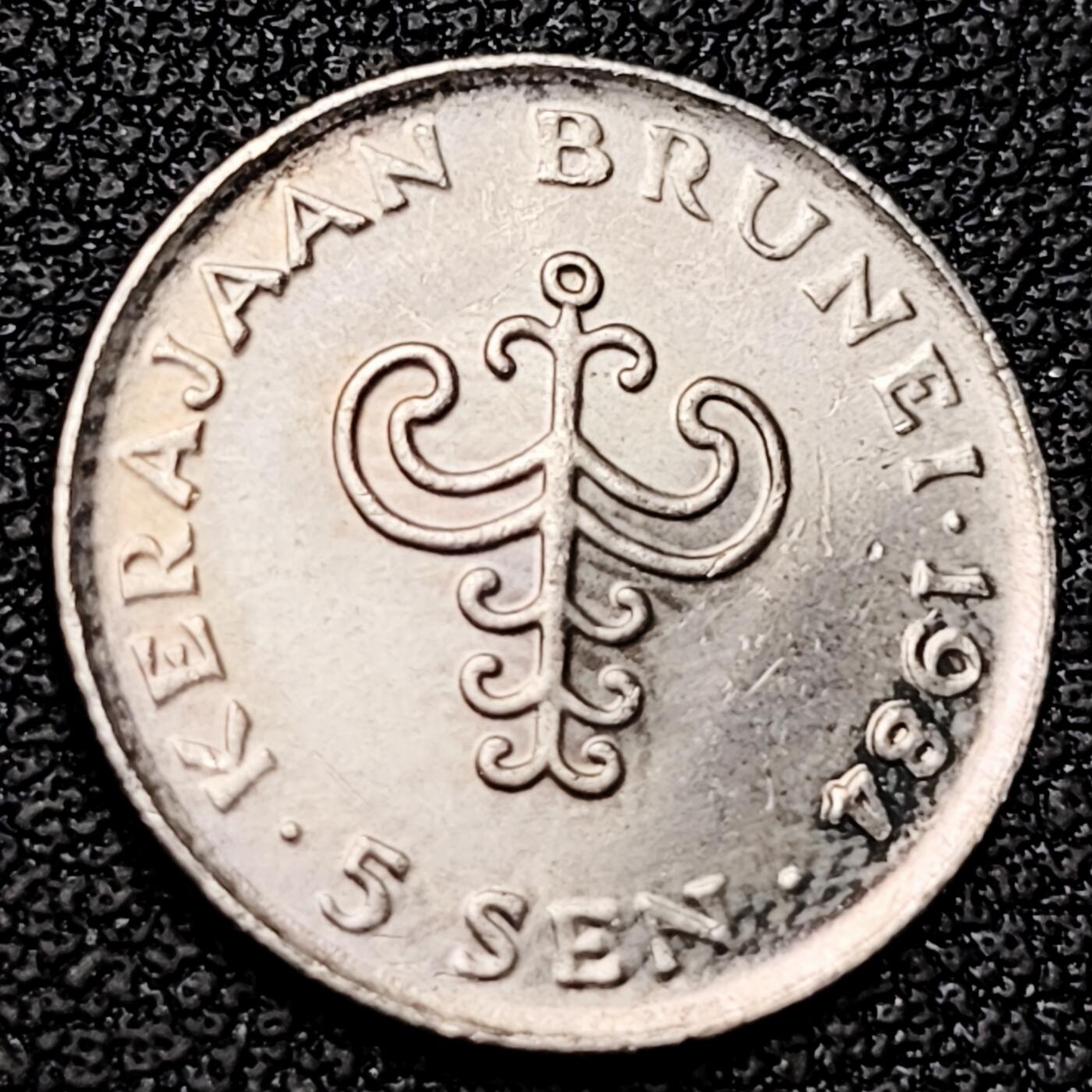 泉币菌-第182场- 精品福利场 。