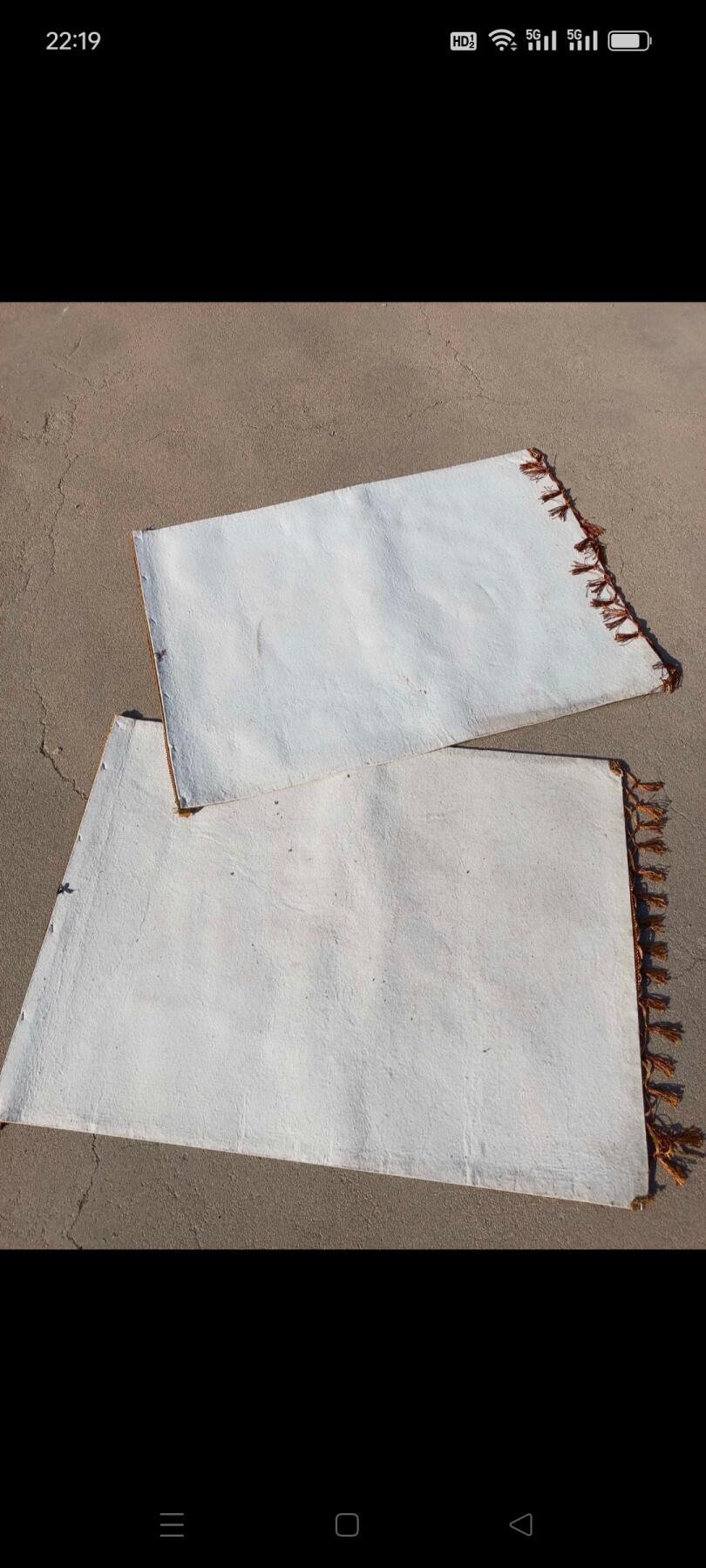 一对毛毡 狼王 图，纯手工烫制，艺术精品，悬挂佳品！