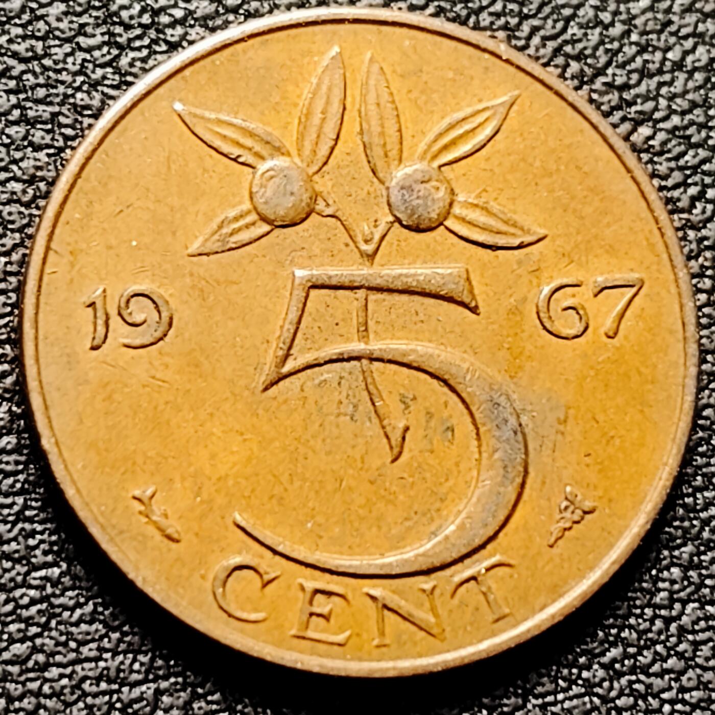 泉币菌-第182场- 精品福利场 。