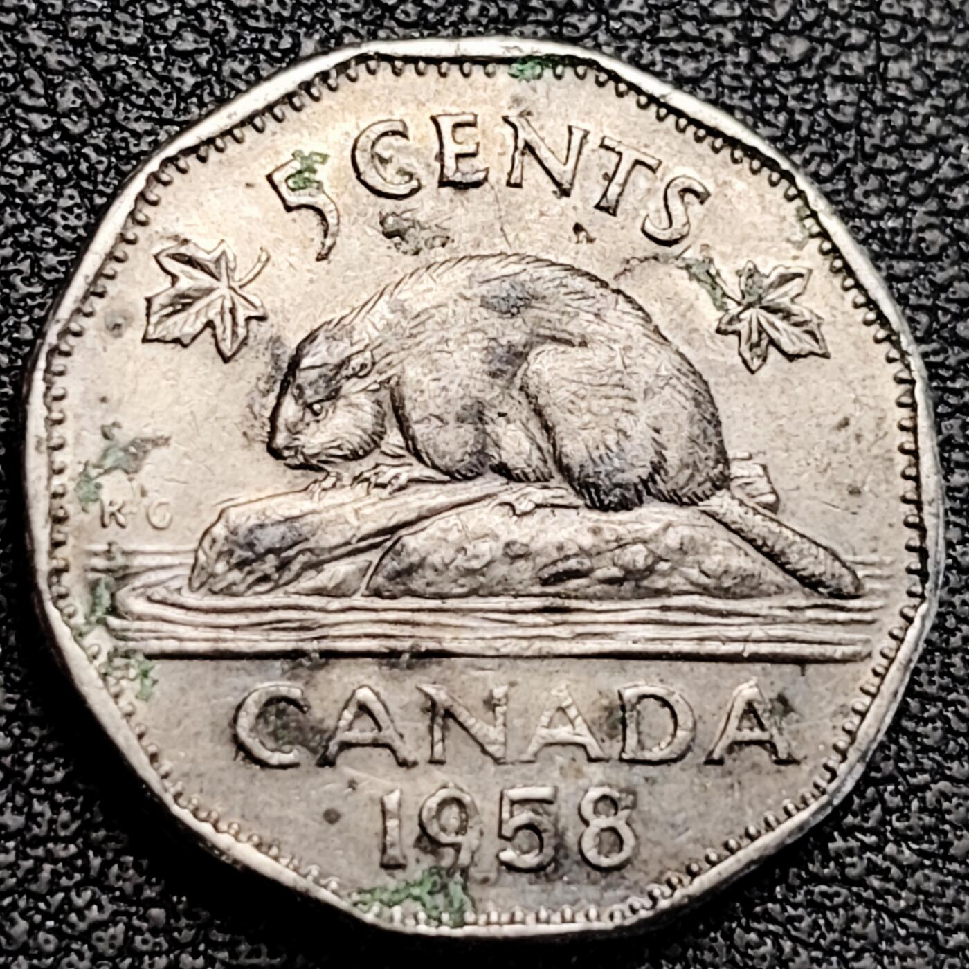 泉币菌-第183场- 精品福利场 。