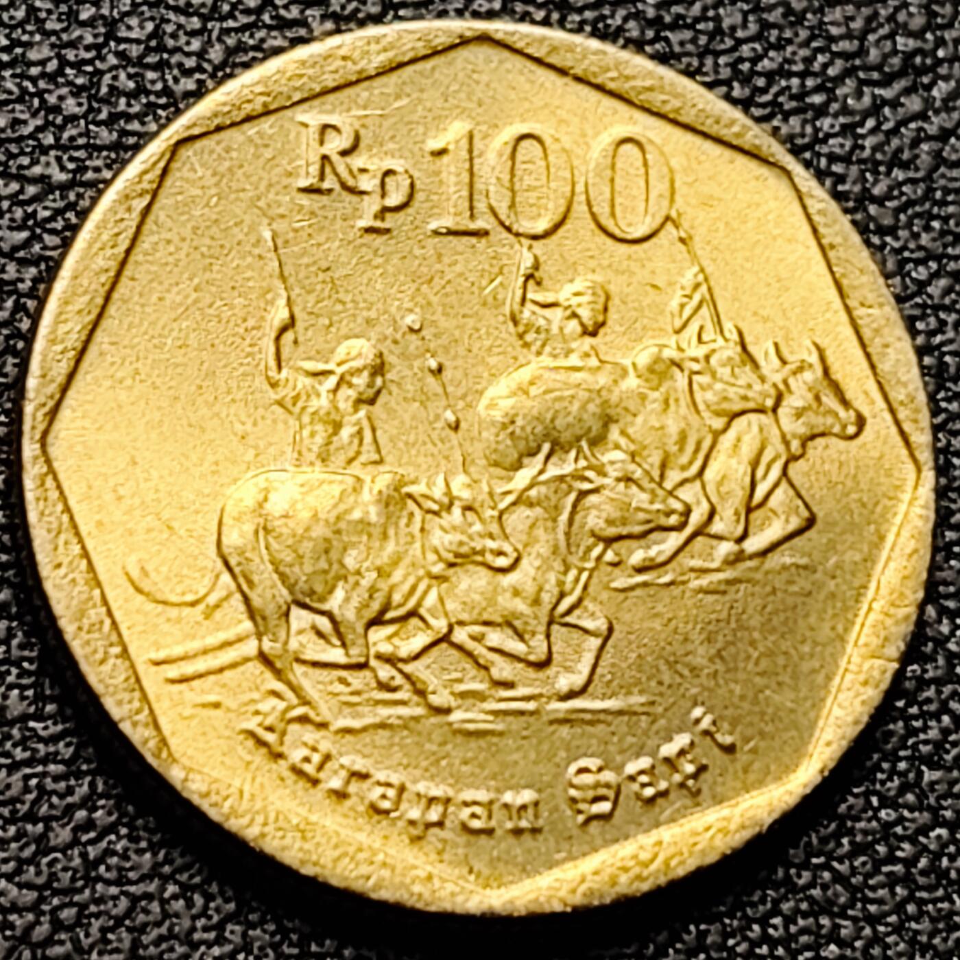 泉币菌-第184场- 精品福利场 。