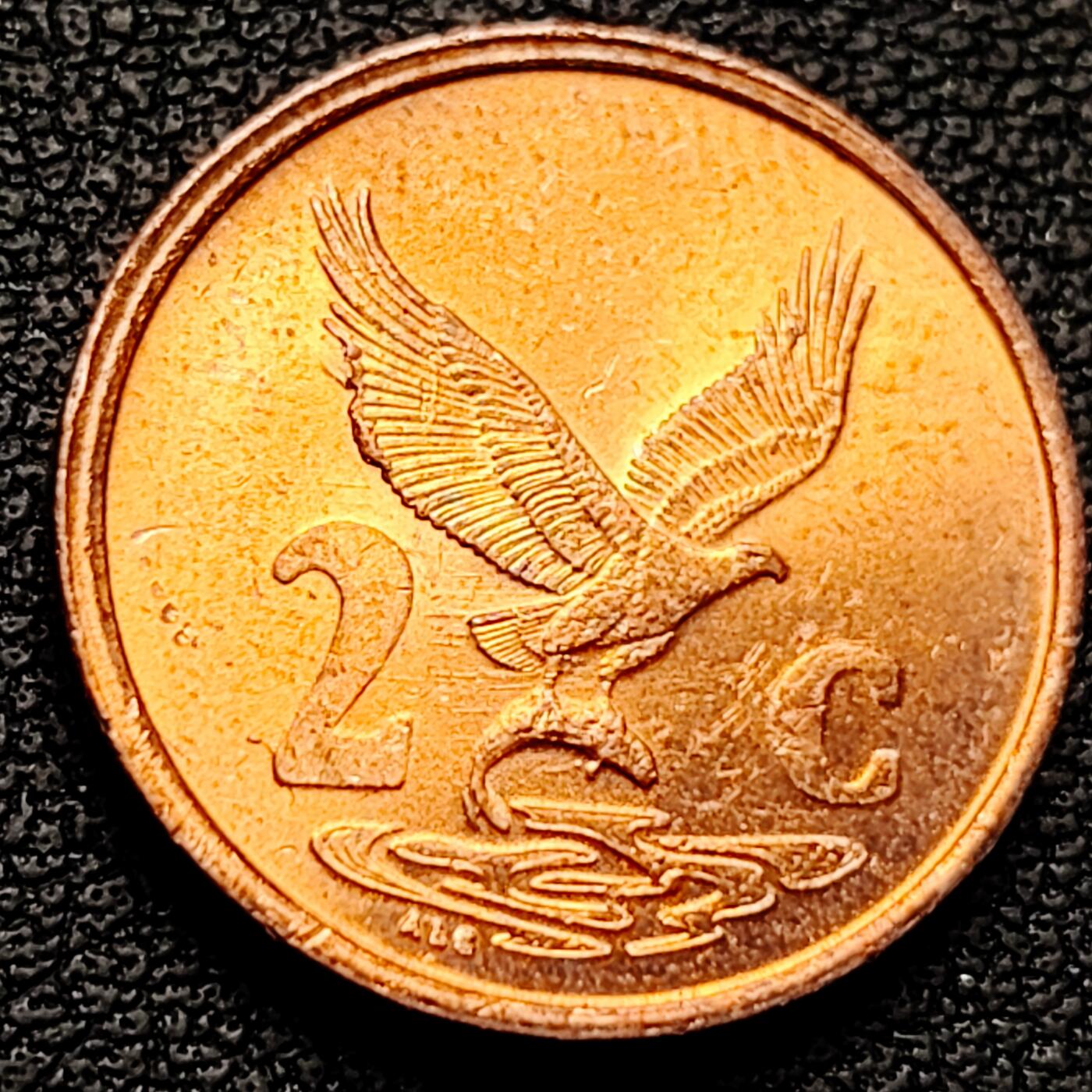 泉币菌-第182场- 精品福利场 。