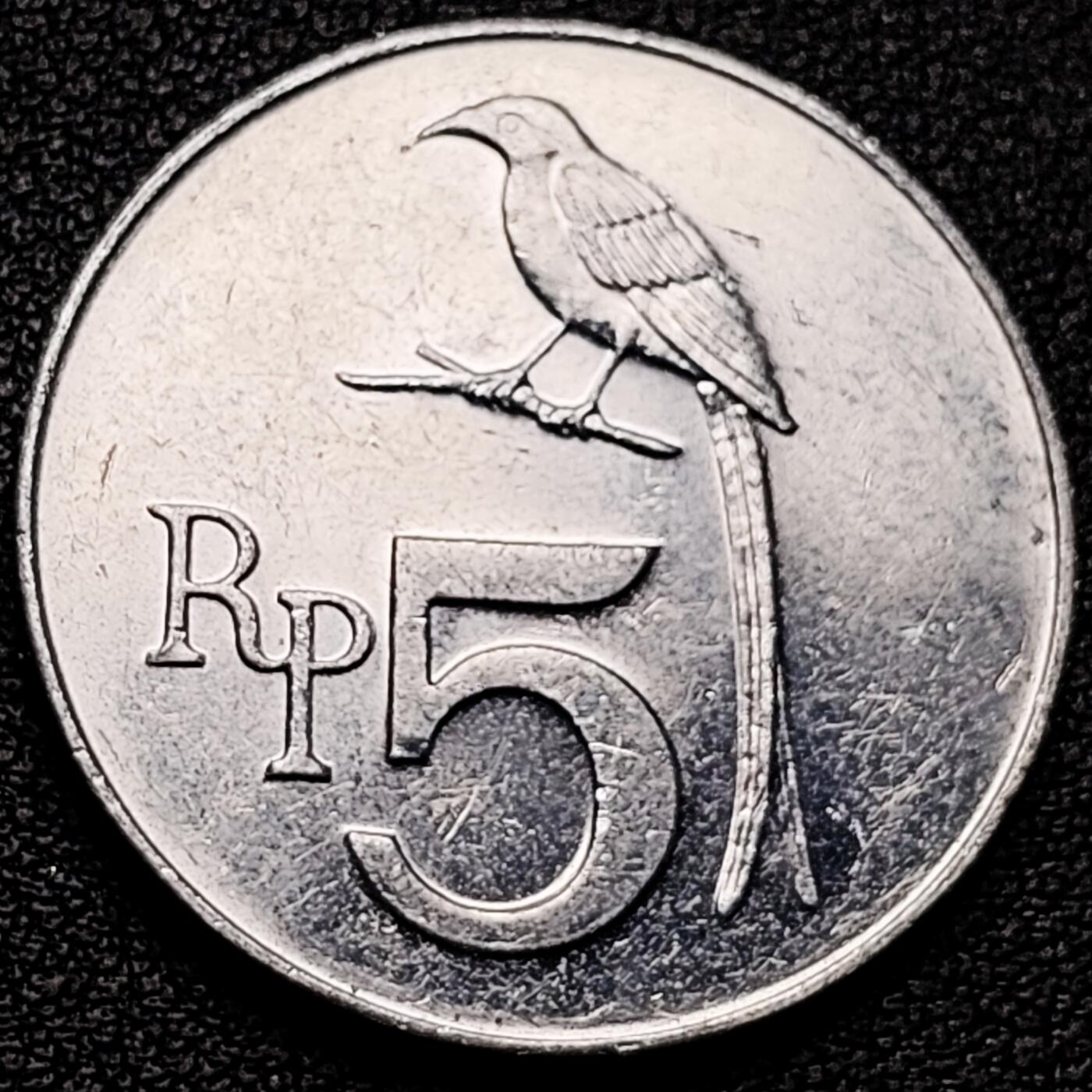 泉币菌-第185场- 精品福利场 。