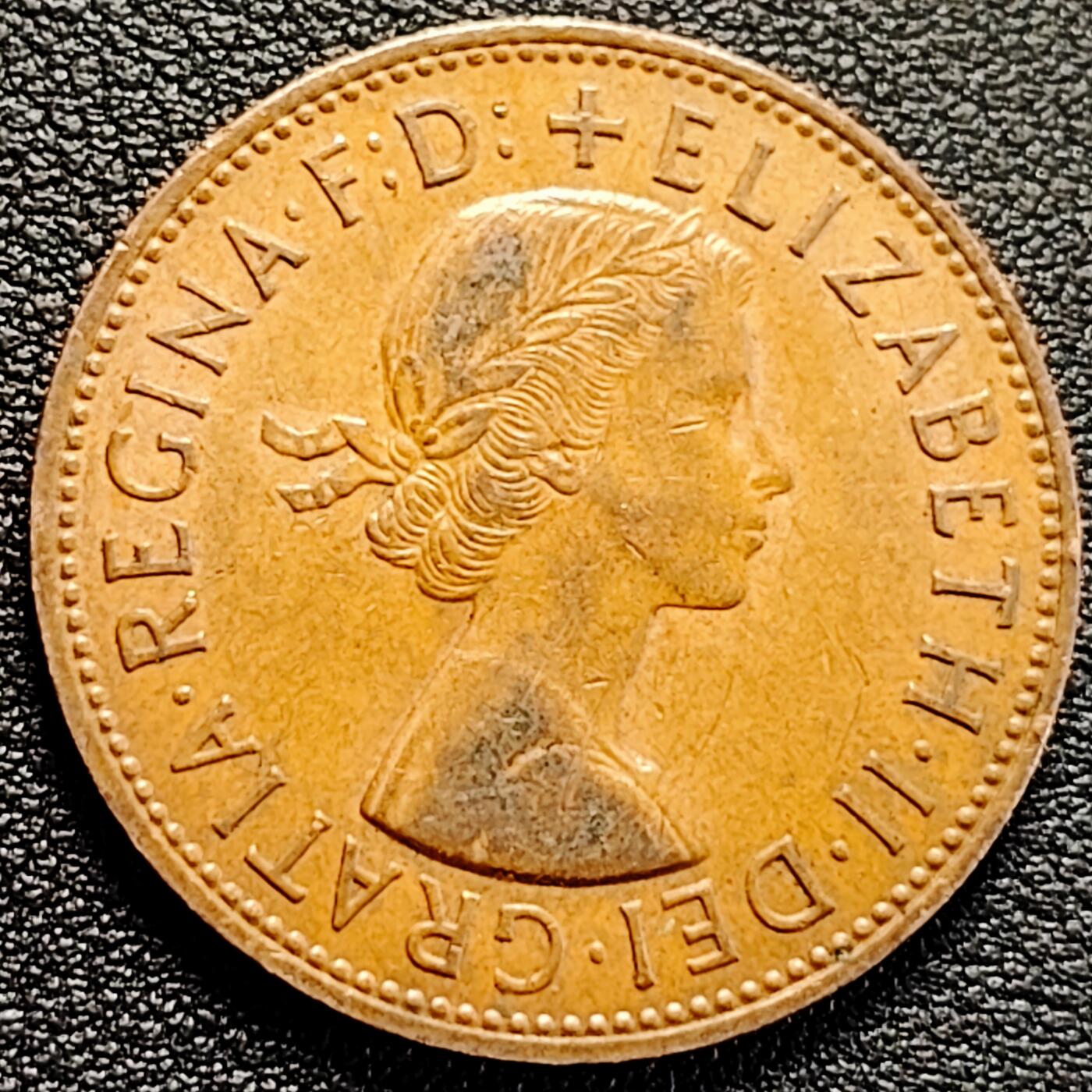 泉币菌-第183场- 精品福利场 。