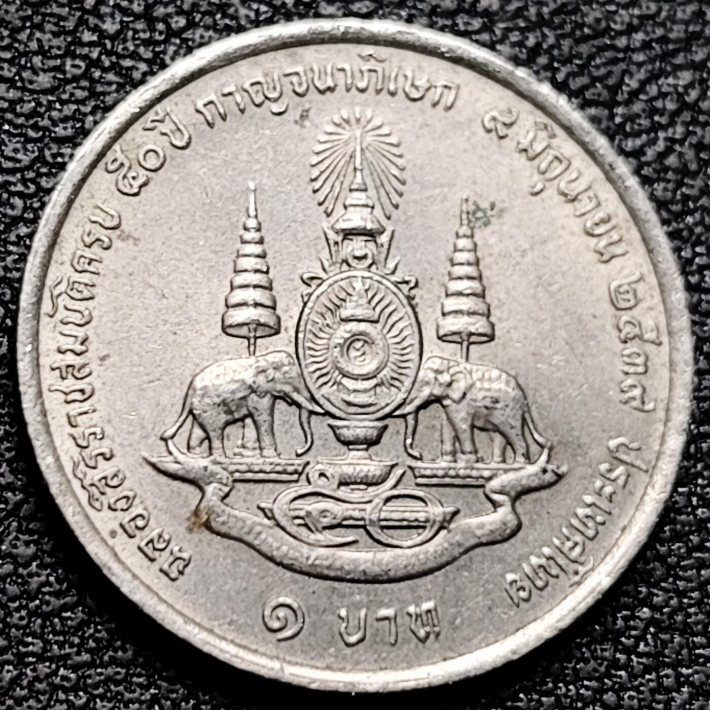 泉币菌-第185场- 精品福利场 。