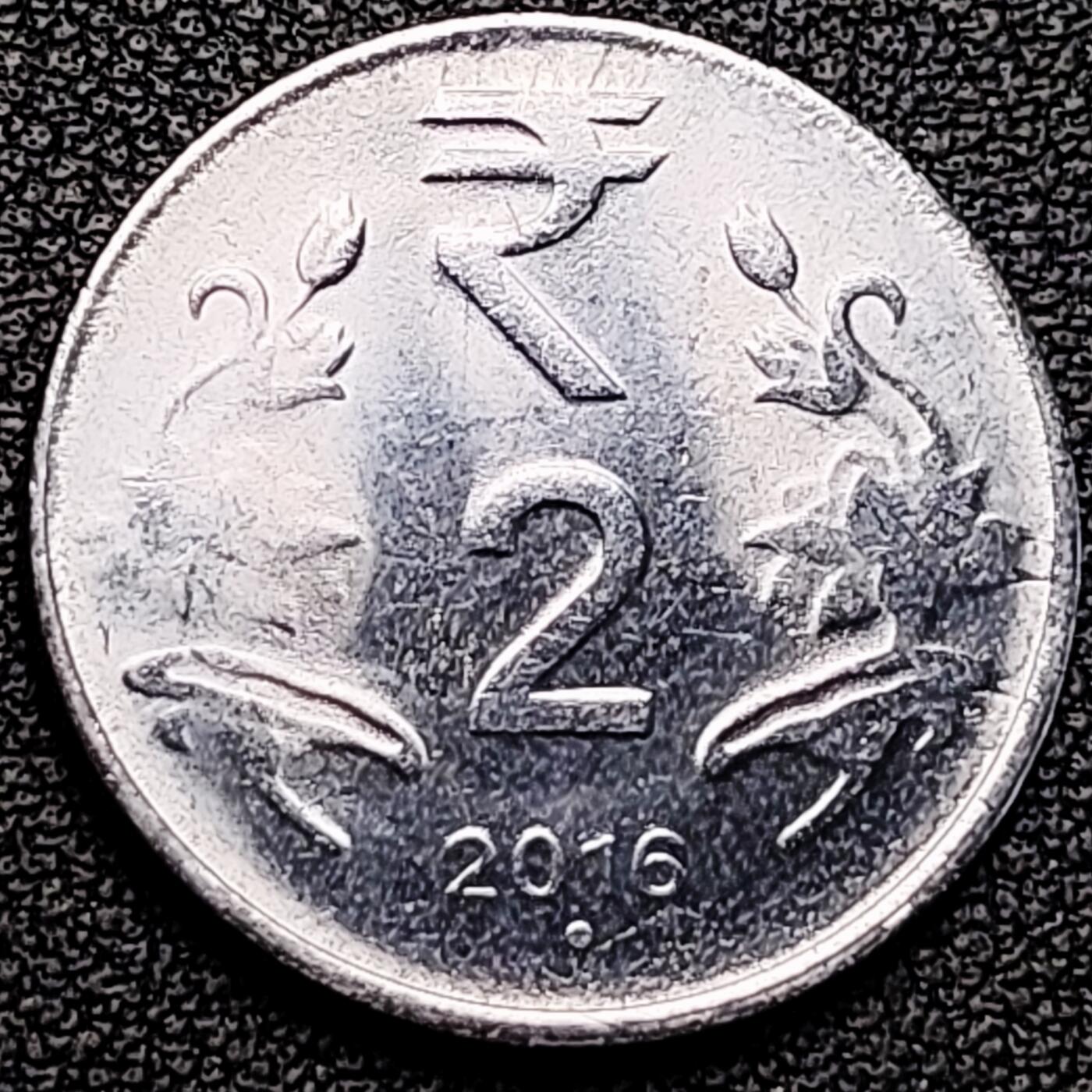 泉币菌-第183场- 精品福利场 。