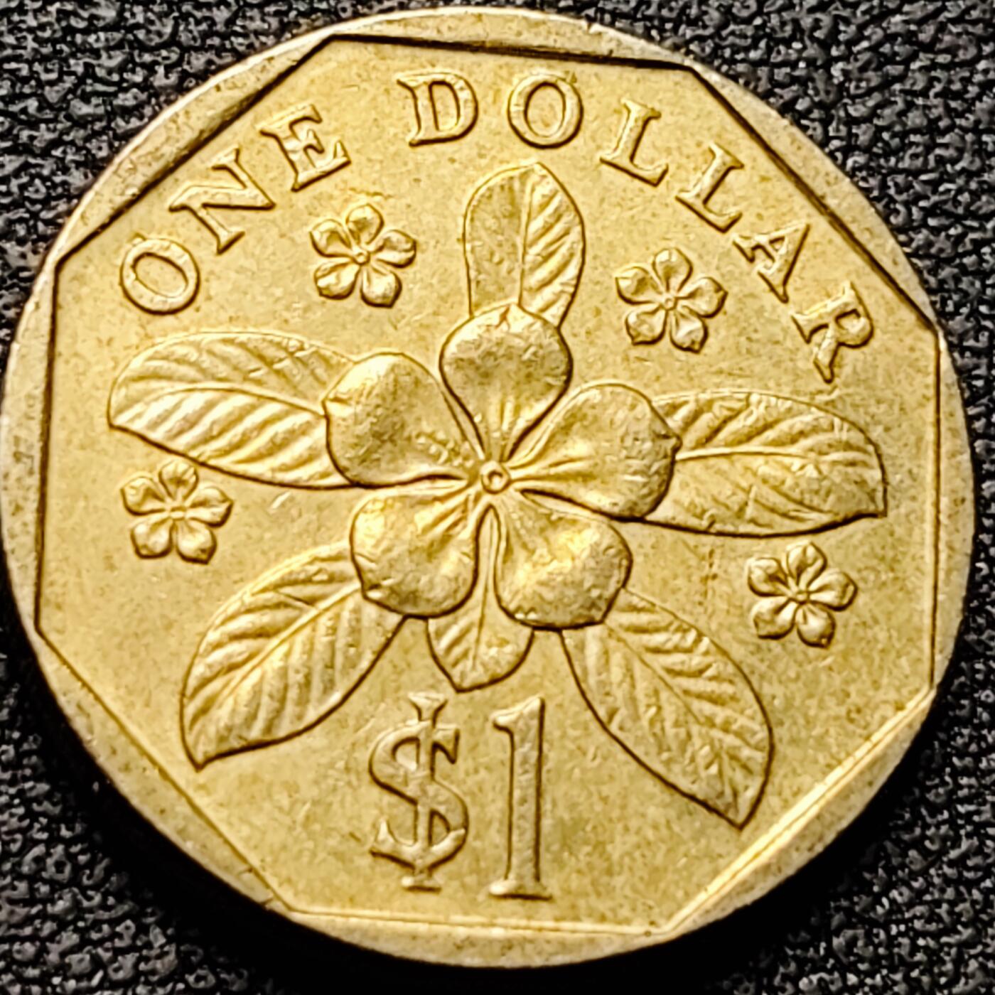 泉币菌-第184场- 精品福利场 。