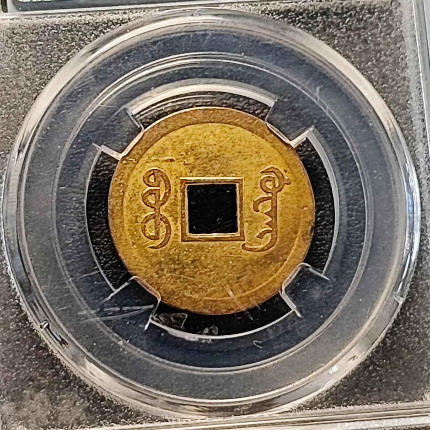 泉币菌-第183场- 精品福利场