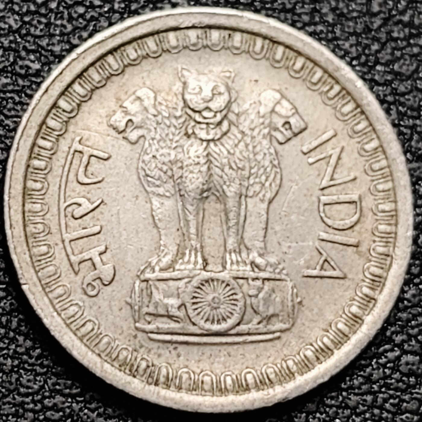 泉币菌-第185场- 精品福利场 。