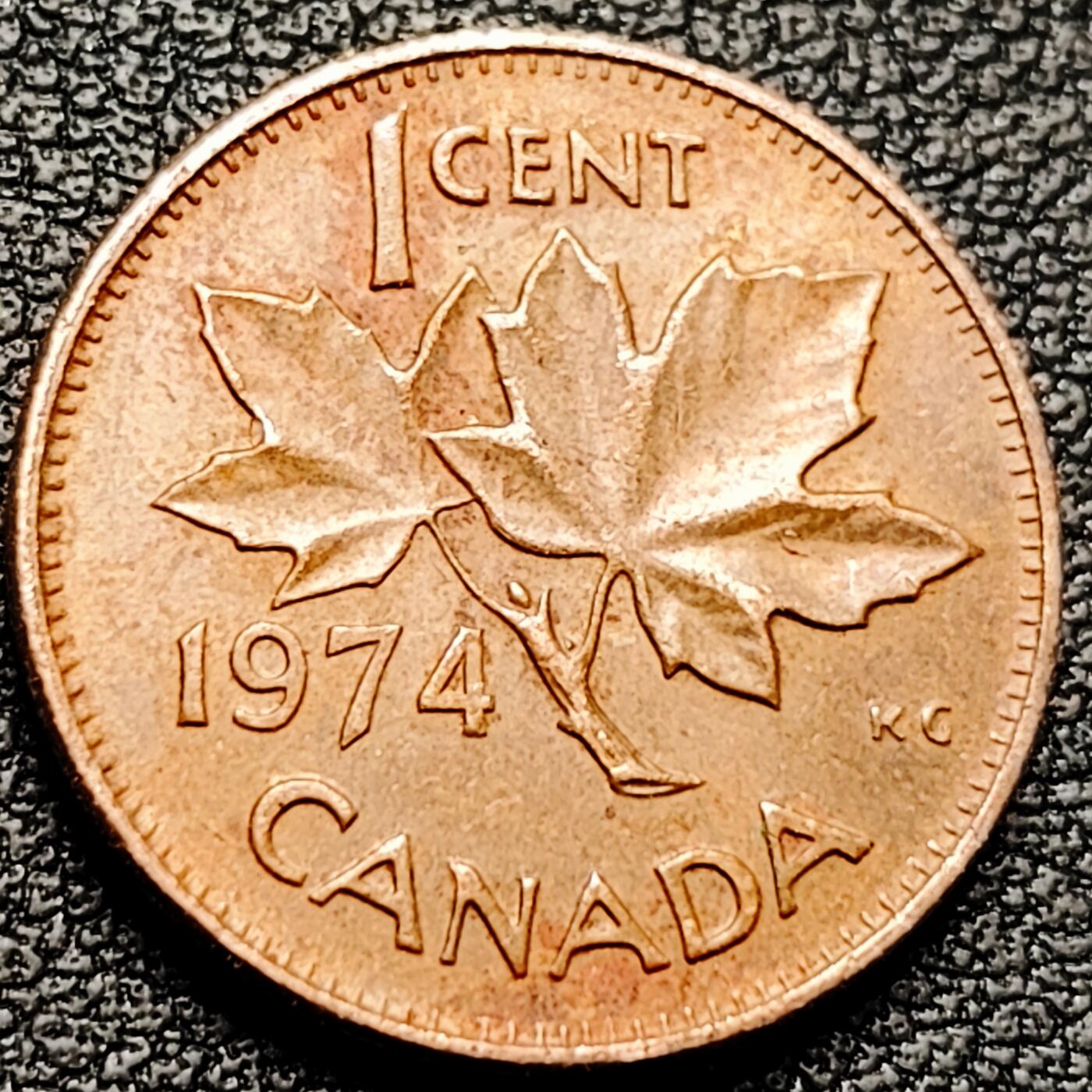 泉币菌-第182场- 精品福利场 。