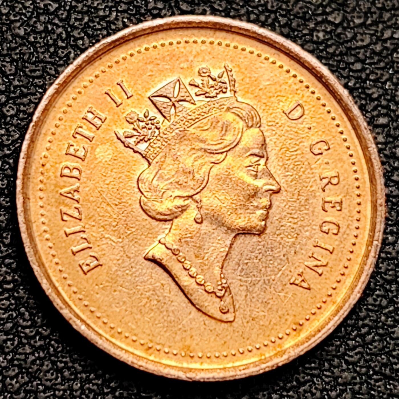 泉币菌-第183场- 精品福利场 。