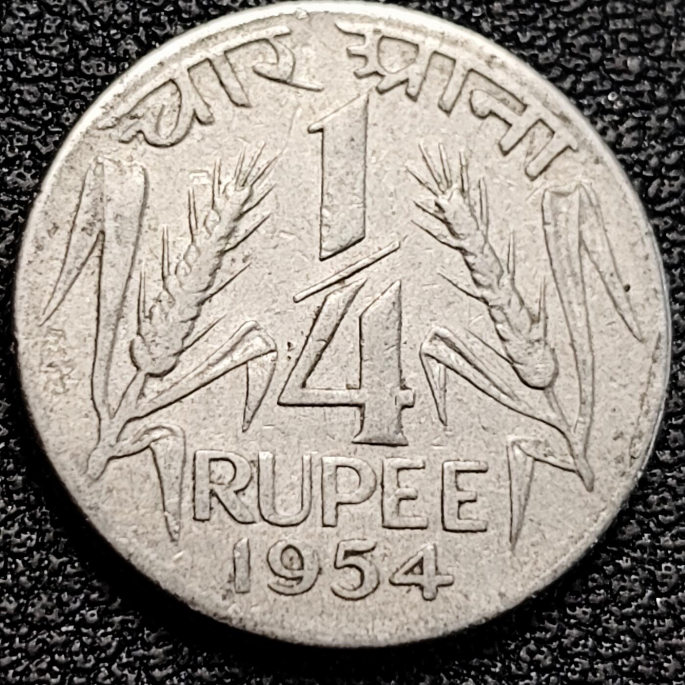 泉币菌-第183场- 精品福利场 。