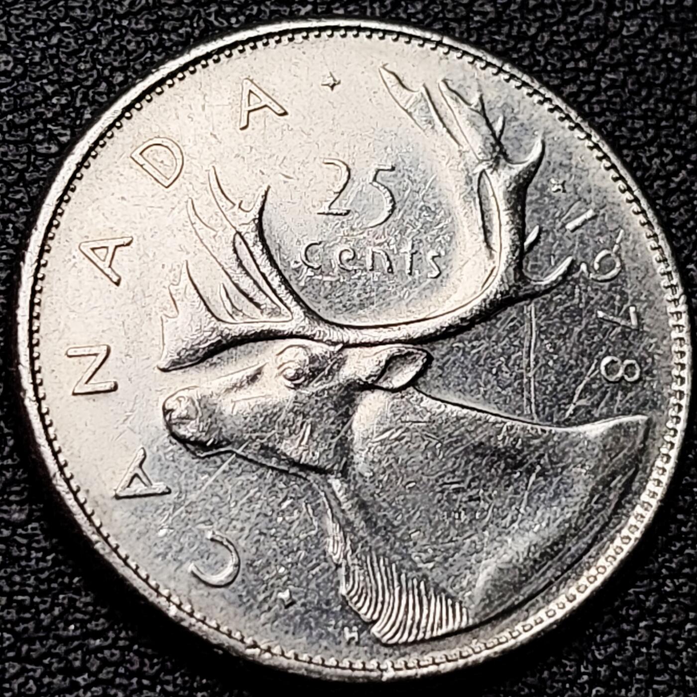 泉币菌-第182场- 精品福利场 。