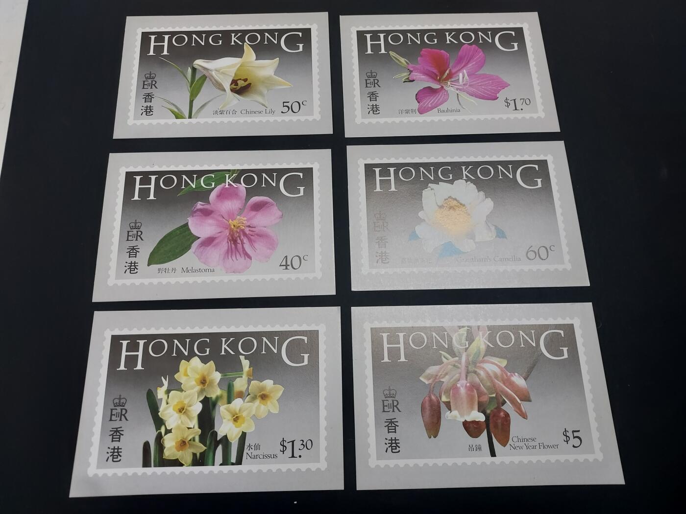 博彦收藏   2月23日 8点邮票专场 全场包邮 香港花卉极限片一套