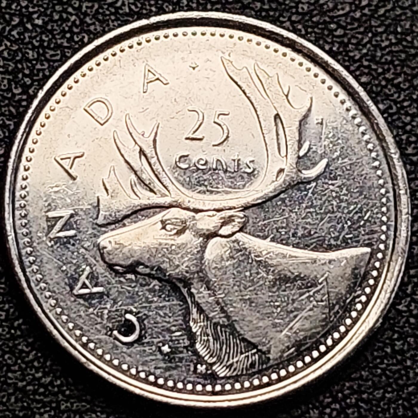 泉币菌-第183场- 精品福利场 。