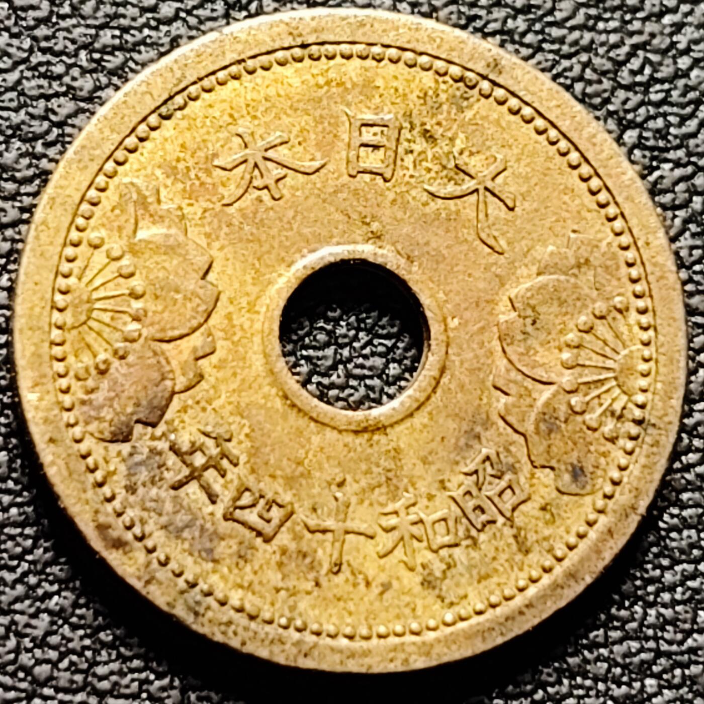 泉币菌-第184场- 精品福利场 。