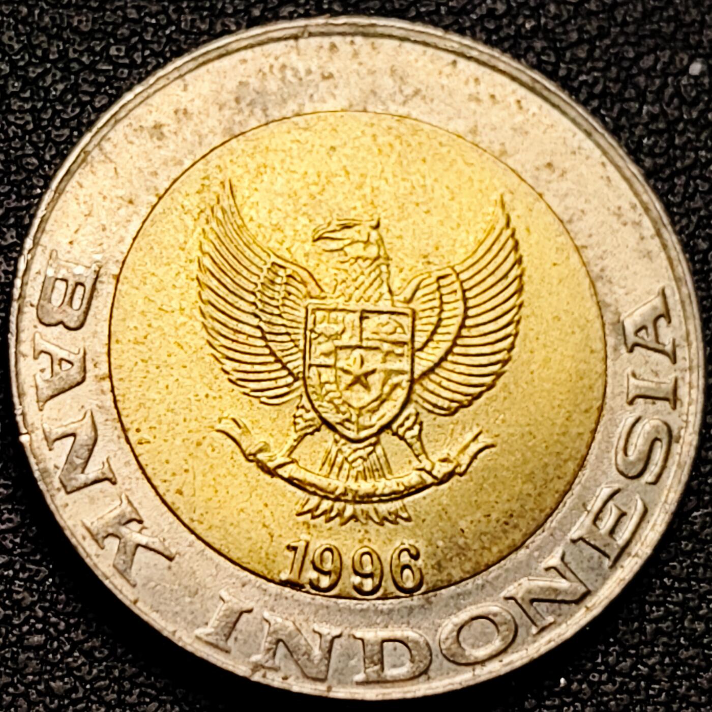 泉币菌-第185场- 精品福利场 。