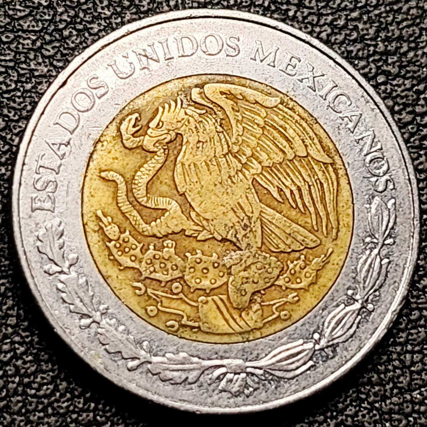 泉币菌-第182场- 精品福利场 。