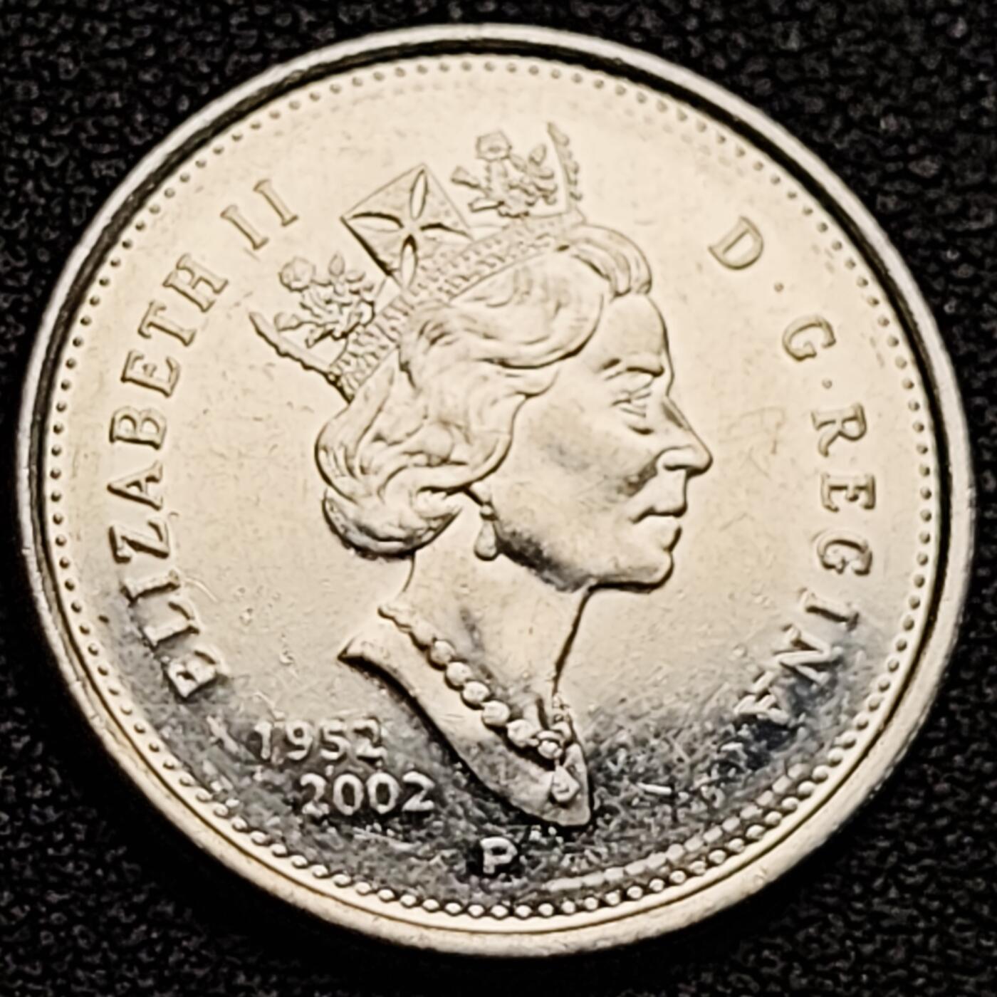 泉币菌-第183场- 精品福利场 。