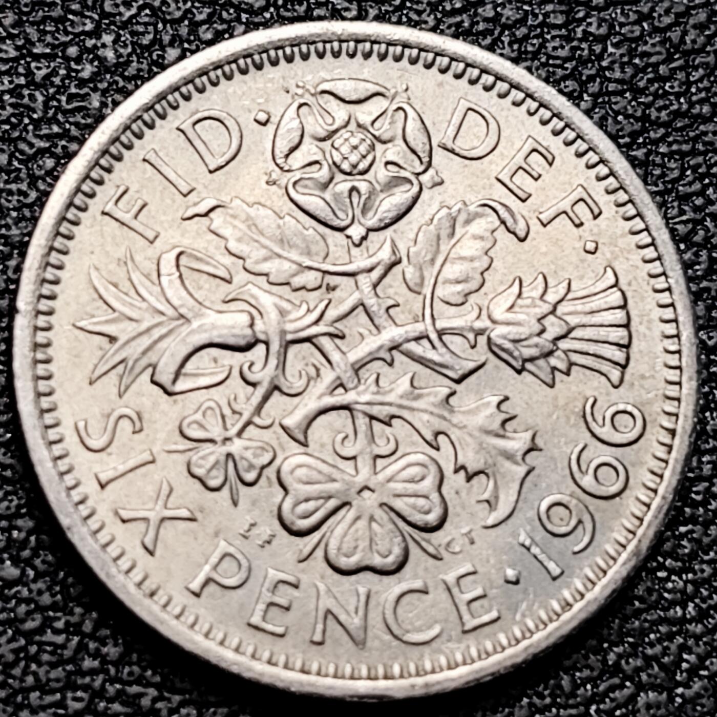 泉币菌-第185场- 精品福利场 。