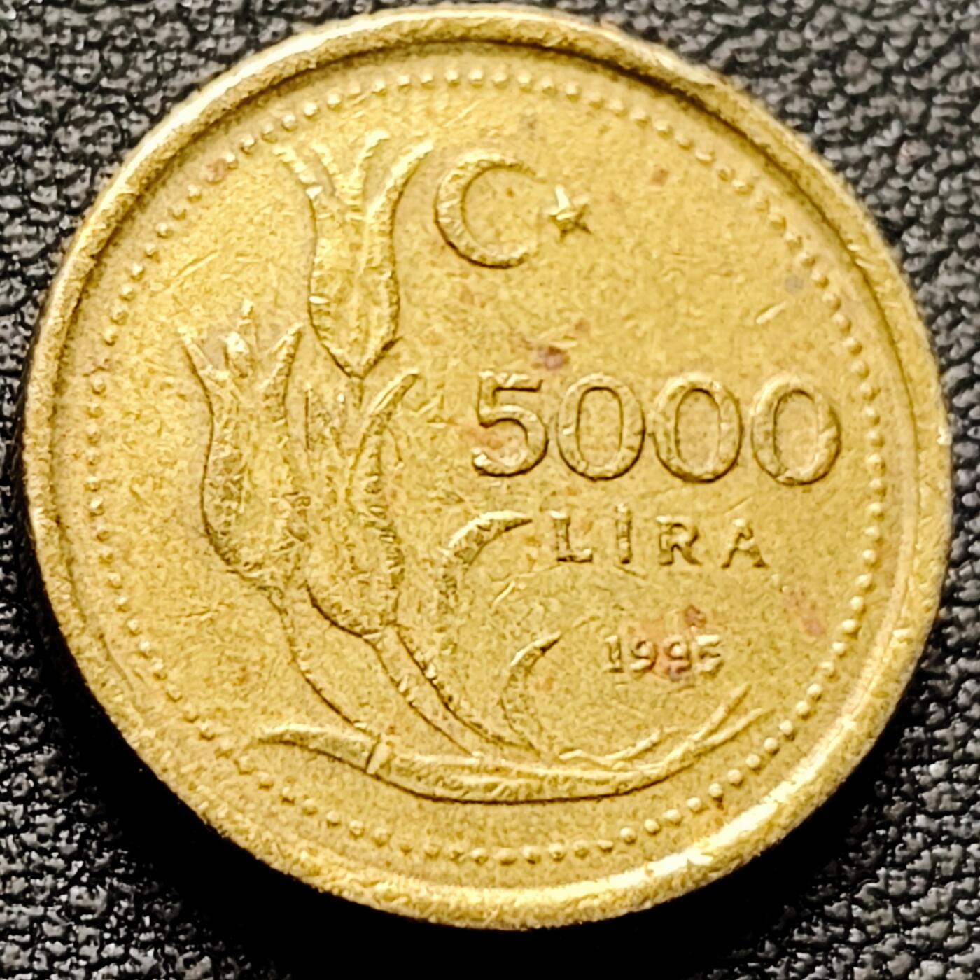 泉币菌-第182场- 精品福利场 。