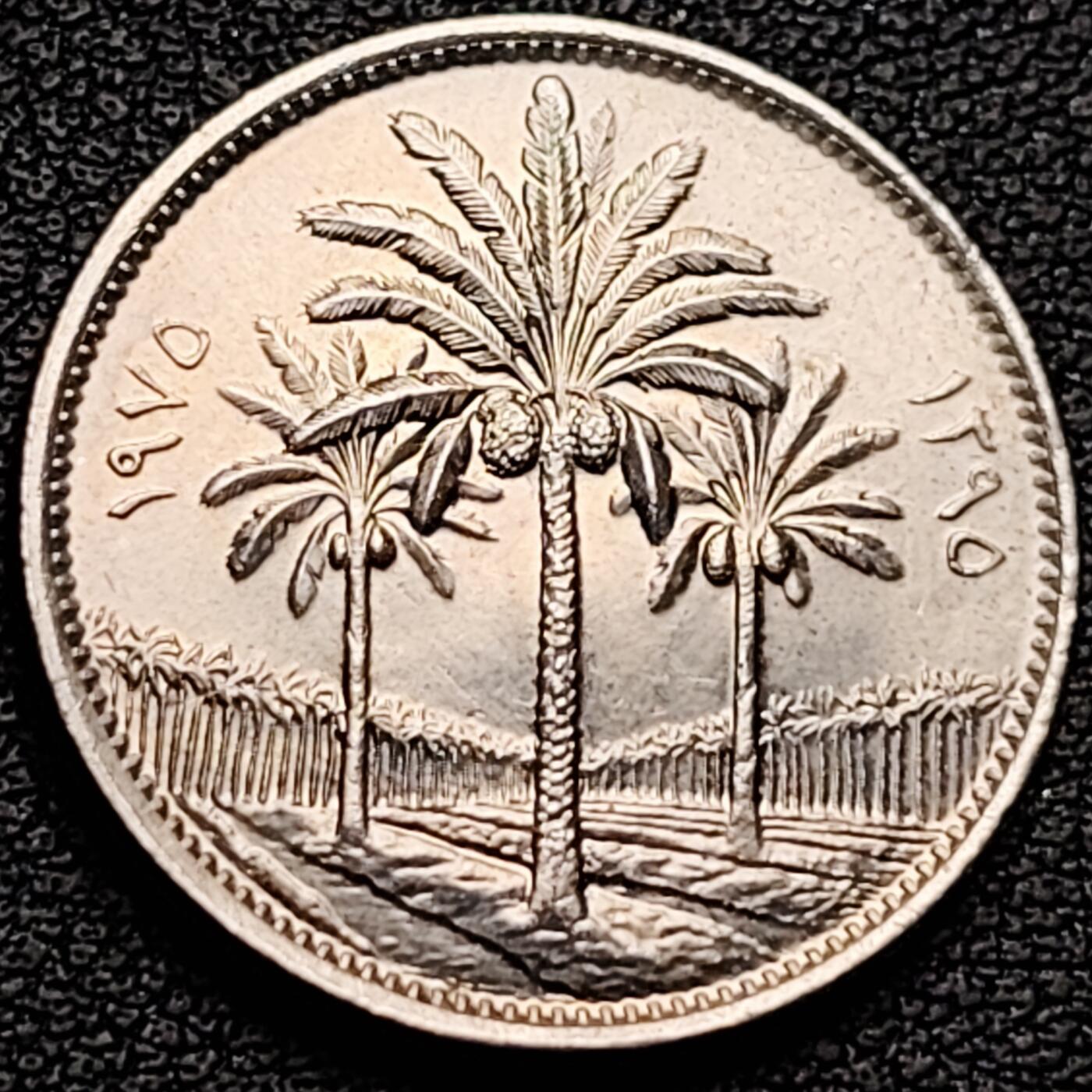 泉币菌-第184场- 精品福利场 。