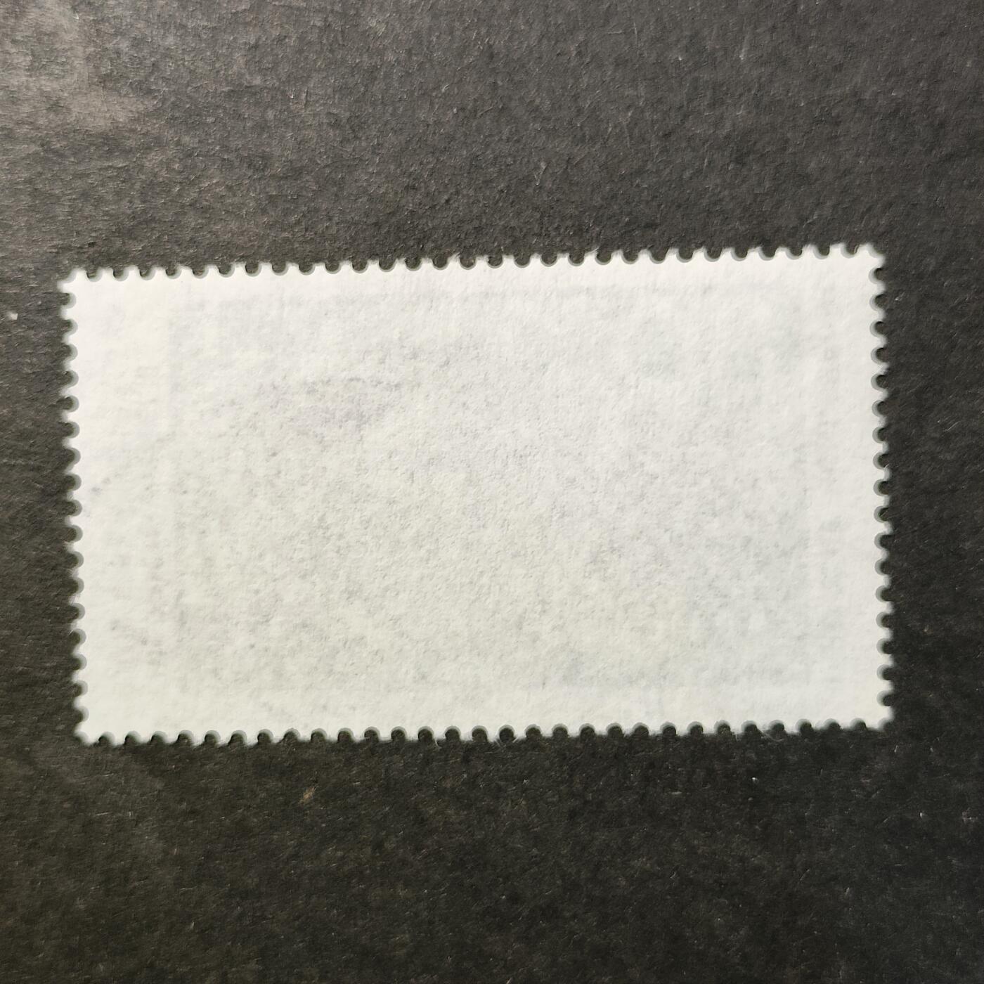 嘉禾收藏    【第462期】            无佣金、可寄存、满30元包邮 邮票一枚